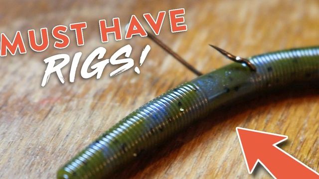 5 Easy Bass Fishing Rigs Every Angler Should Know