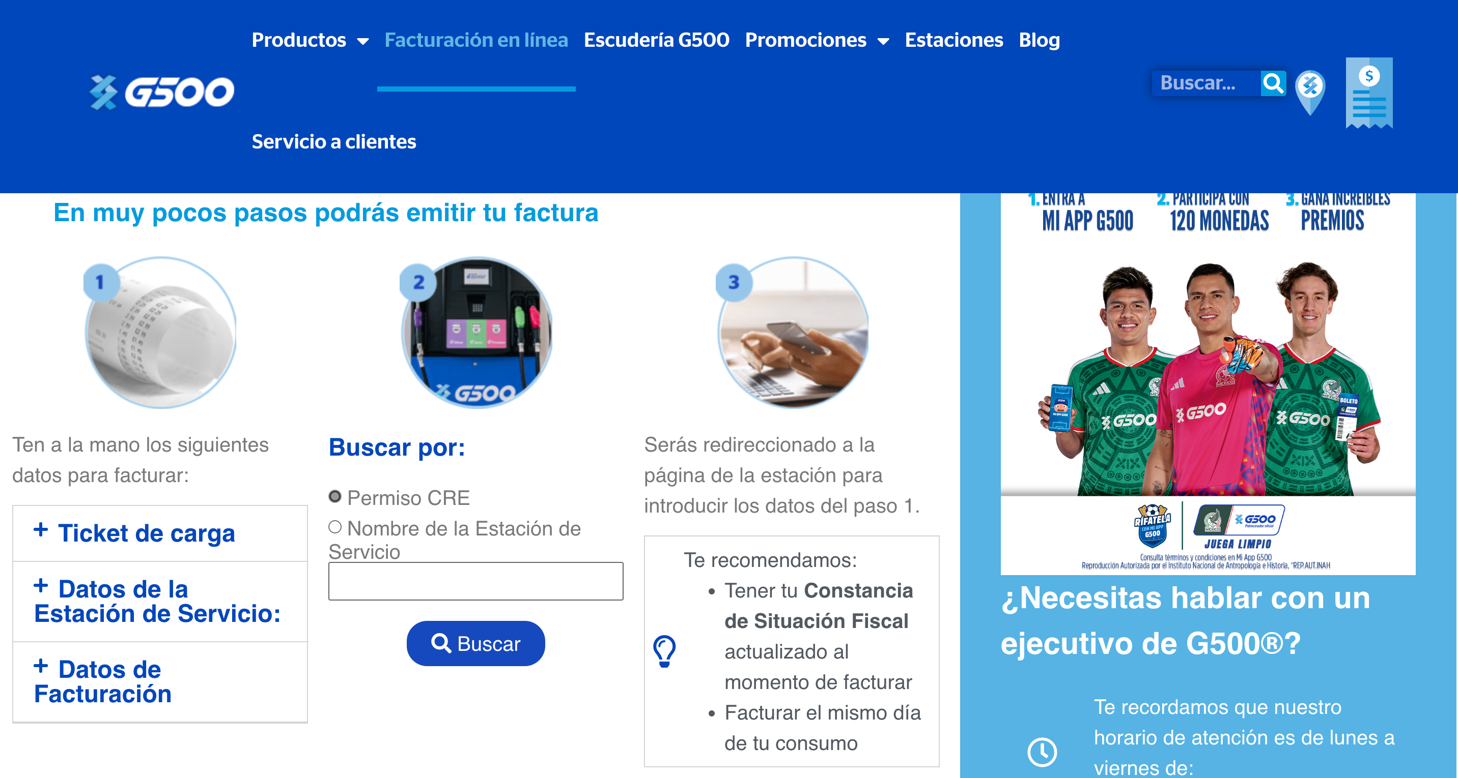 Captura de pantalla portal de facturación G500