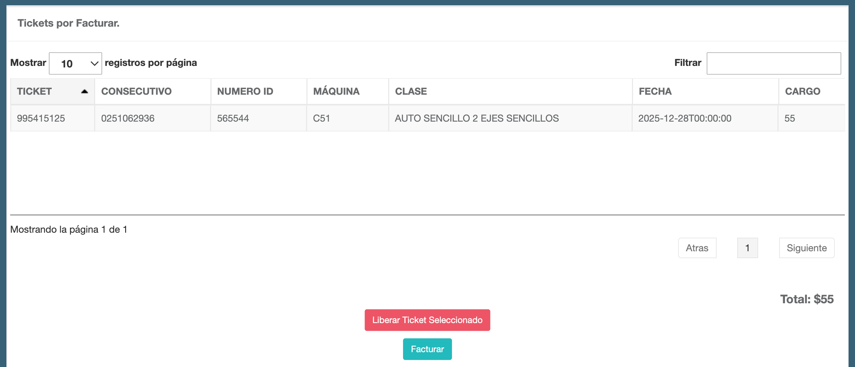 Captura de pantalla portal de facturación PINFRA