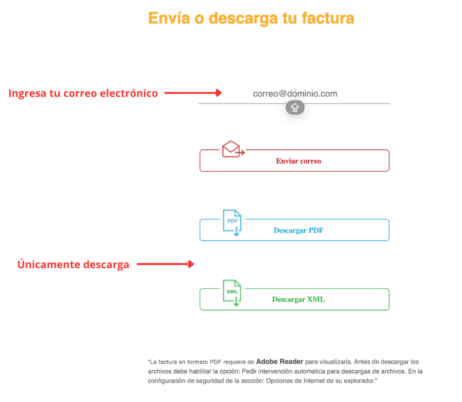 Captura de pantalla plataforma de facturación OXXO