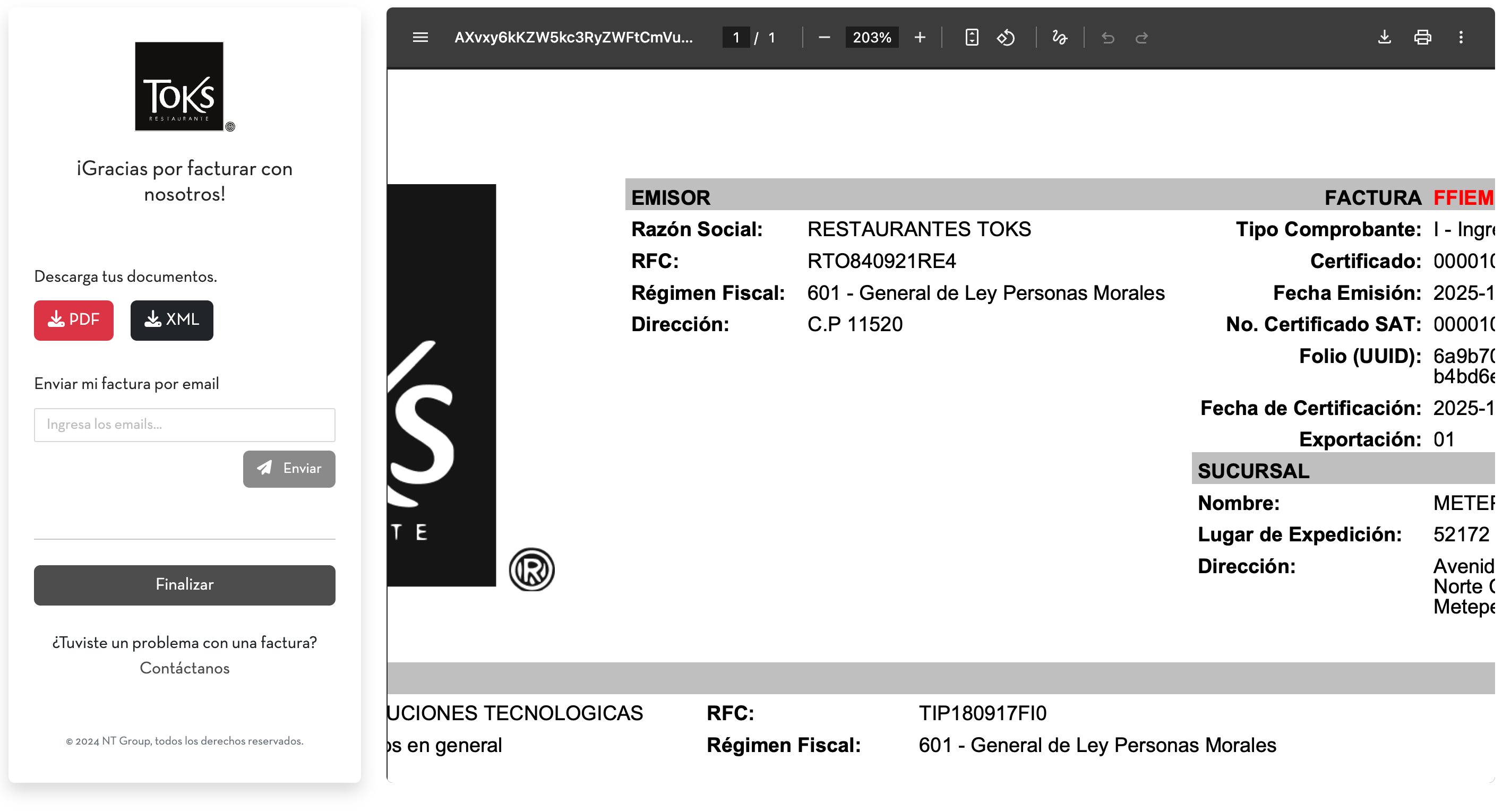 Captura de pantalla formato de factura TOKS