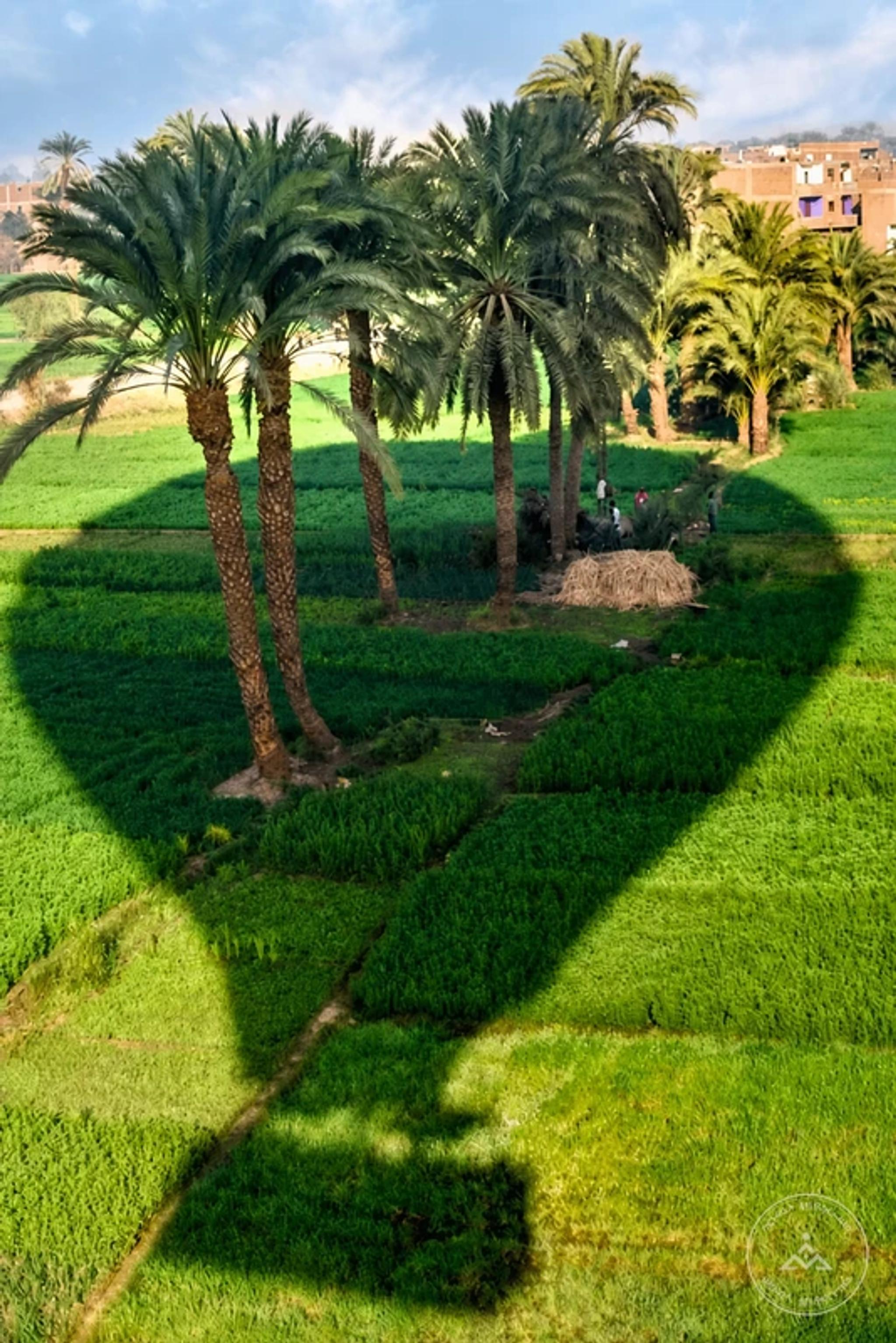 Luxor Hot Air Balloon Experience — photo 5