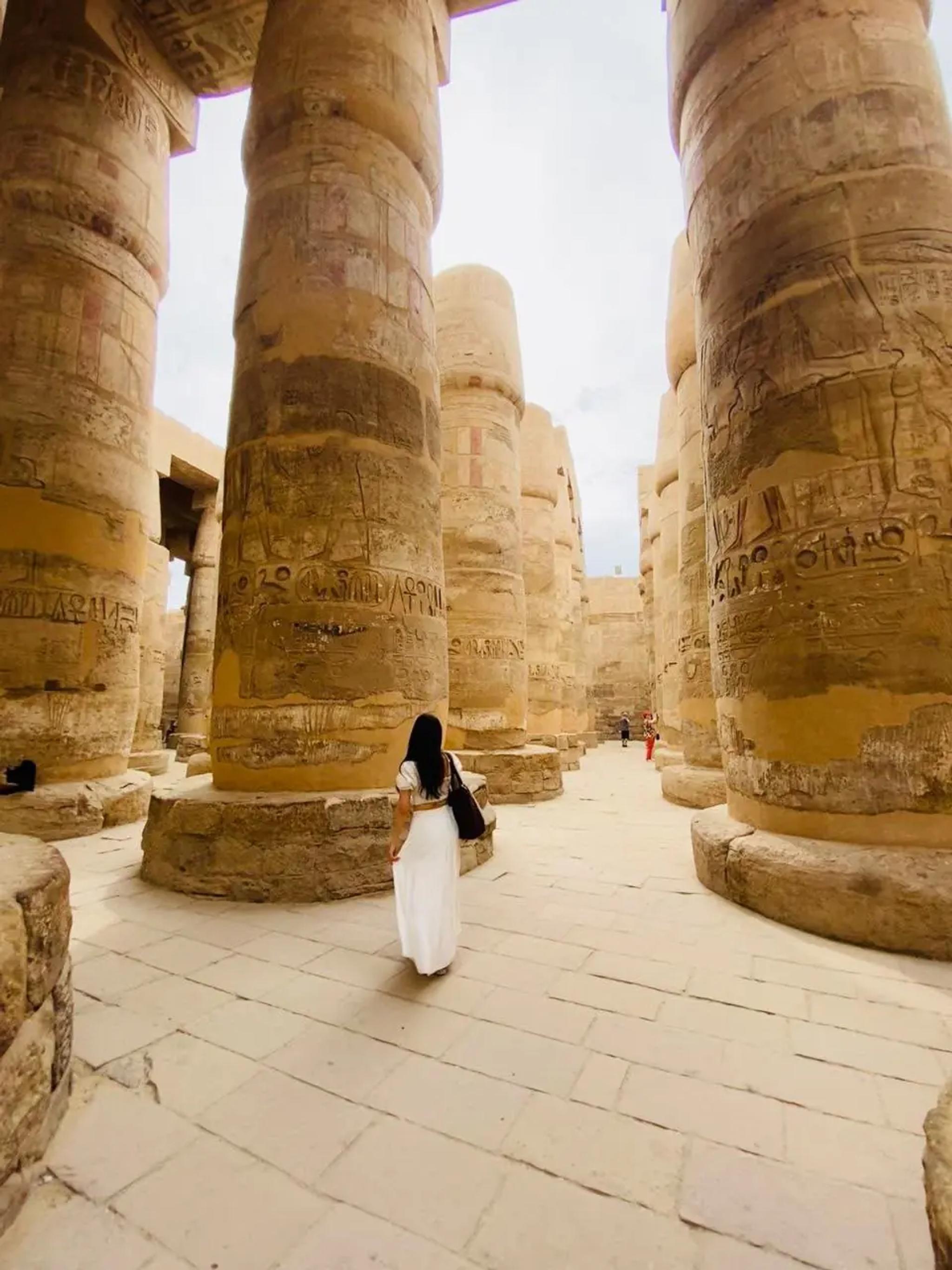 جولة خاصة ليوم كامل في البرين الشرقي والغربي بالأقصر - photo 19