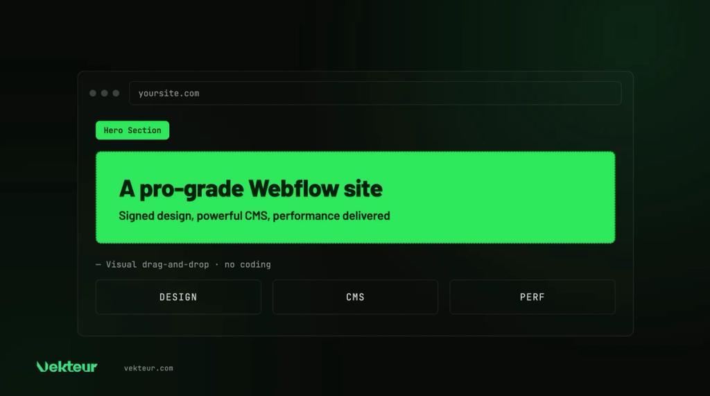 a professional-level Webflow site, managed by an agency