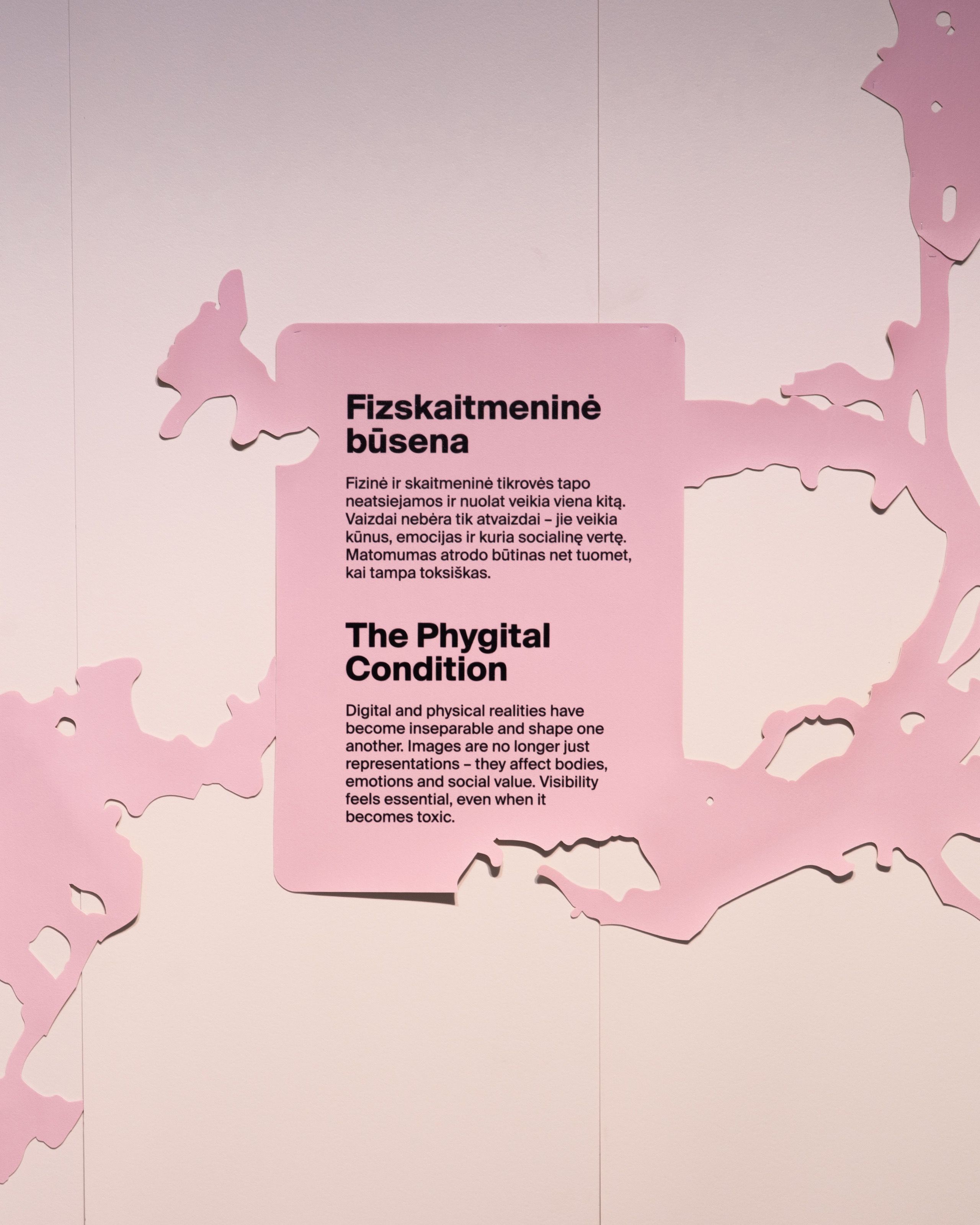 Pink bilingual wall text panel, The Phygital Condition, Gen Z. All at Once