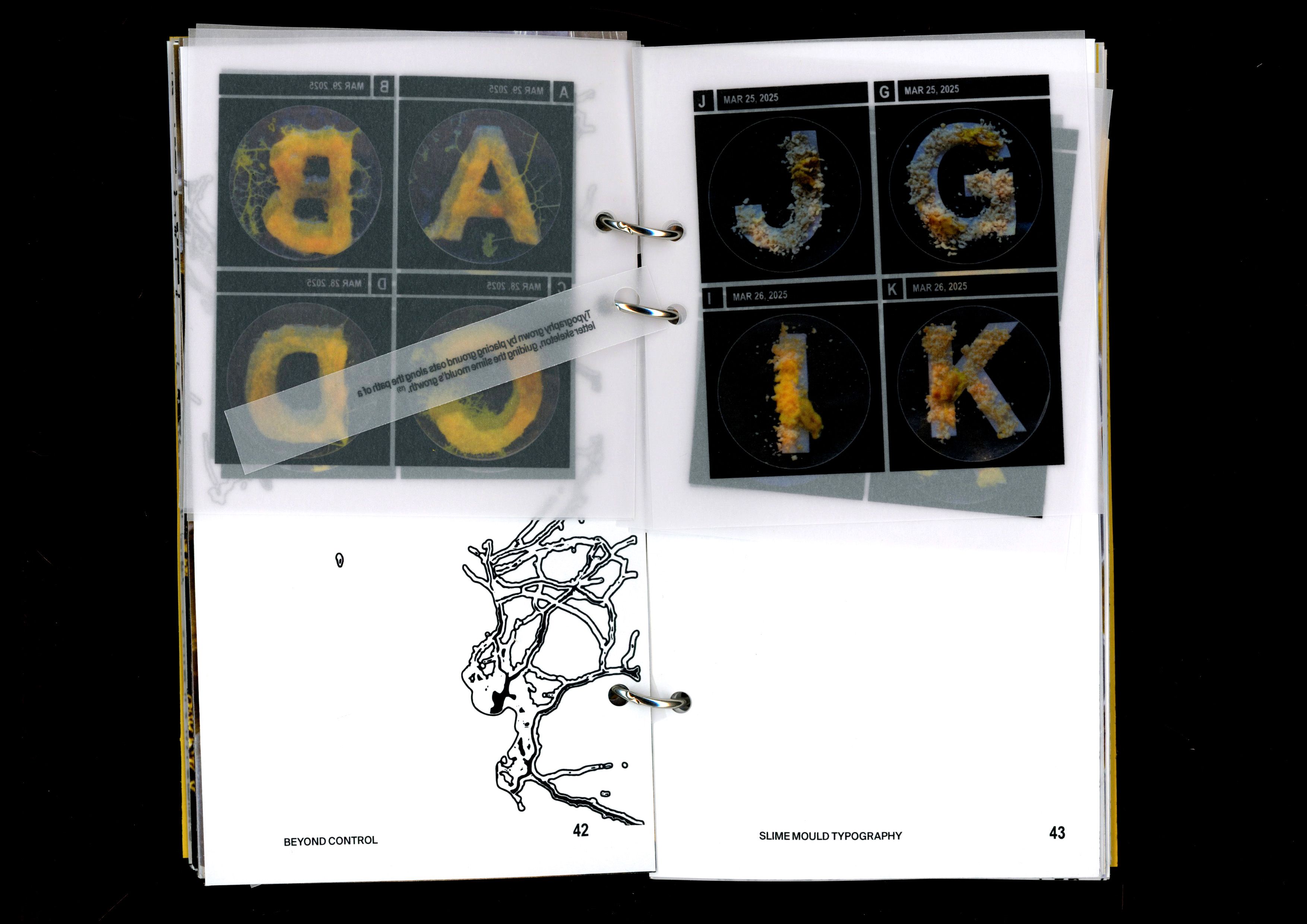 Book spread showing letters grown from slime mould in square dishes