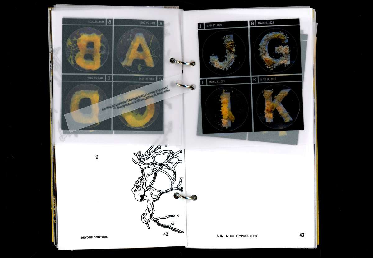 Book spread showing letters grown from slime mould in square dishes