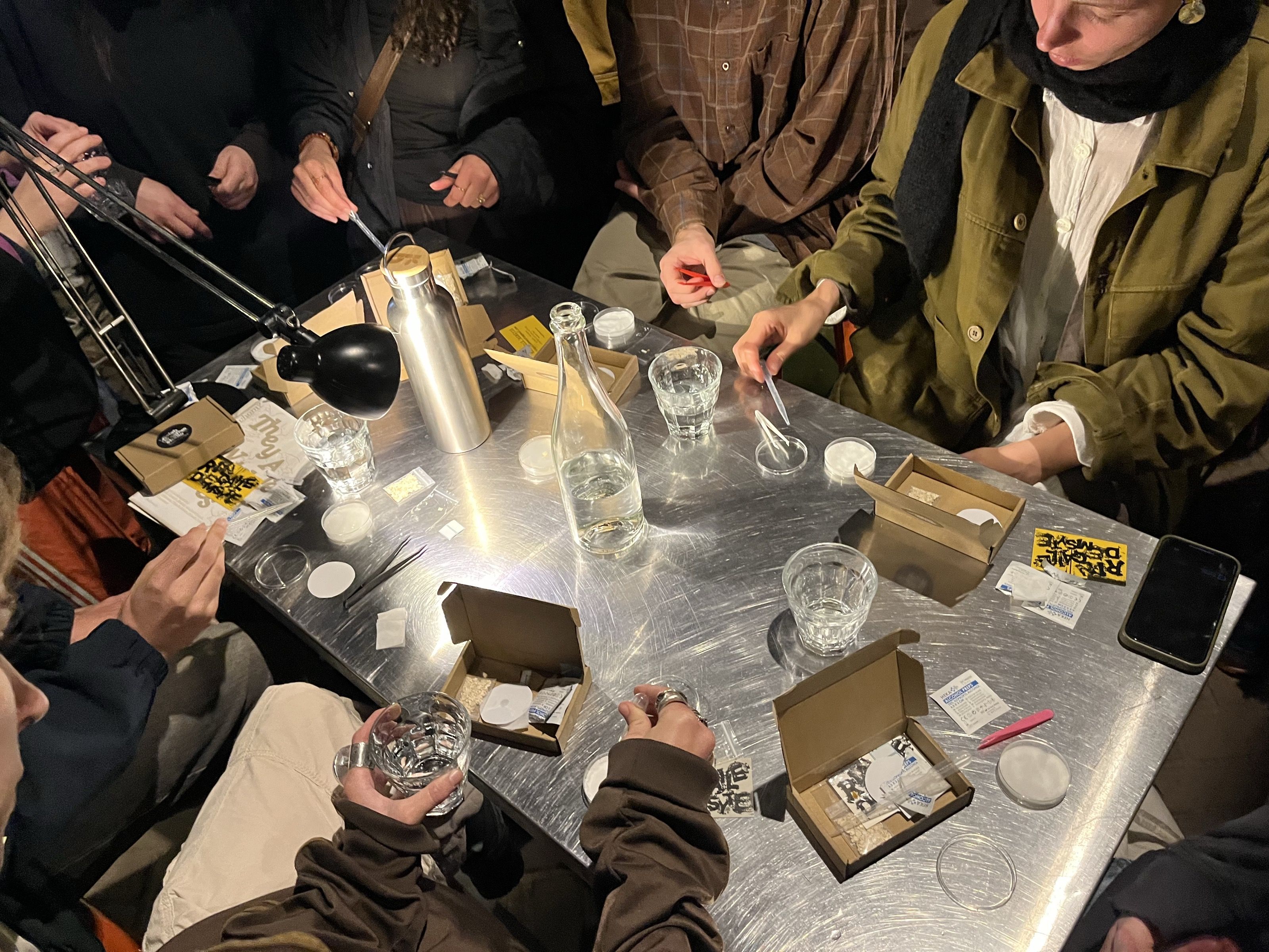 Hands at a metal table preparing slime mould samples with tweezers and glasses