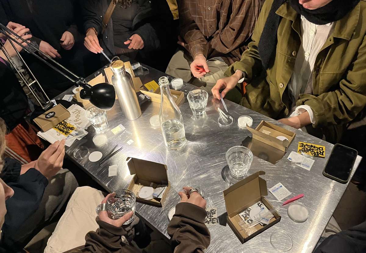Hands at a metal table preparing slime mould samples with tweezers and glasses