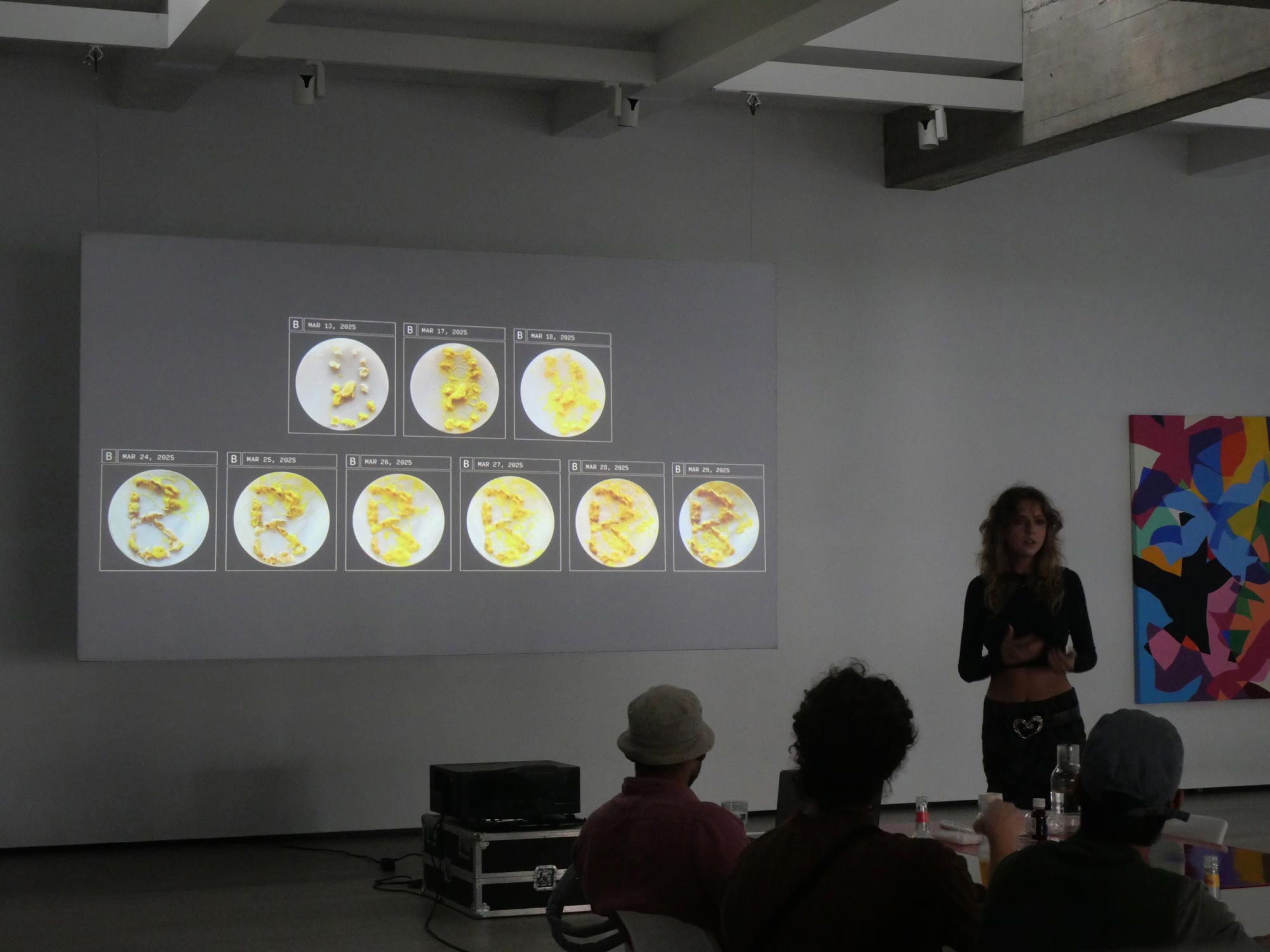 Presenter beside a projection of slime mould growing in petri dishes