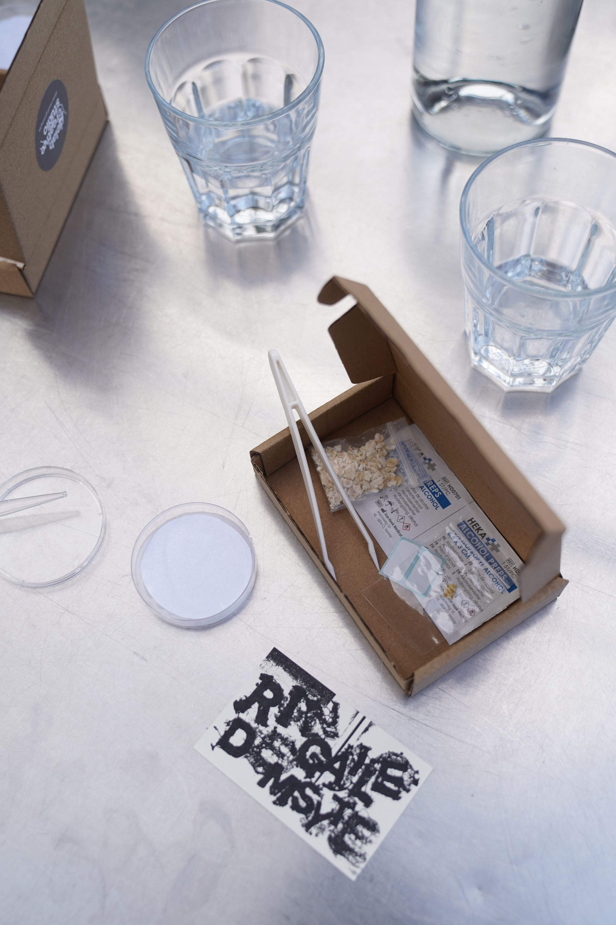 Slime mould workshop kit: petri dish, tweezers, cardboard box and a sticker
