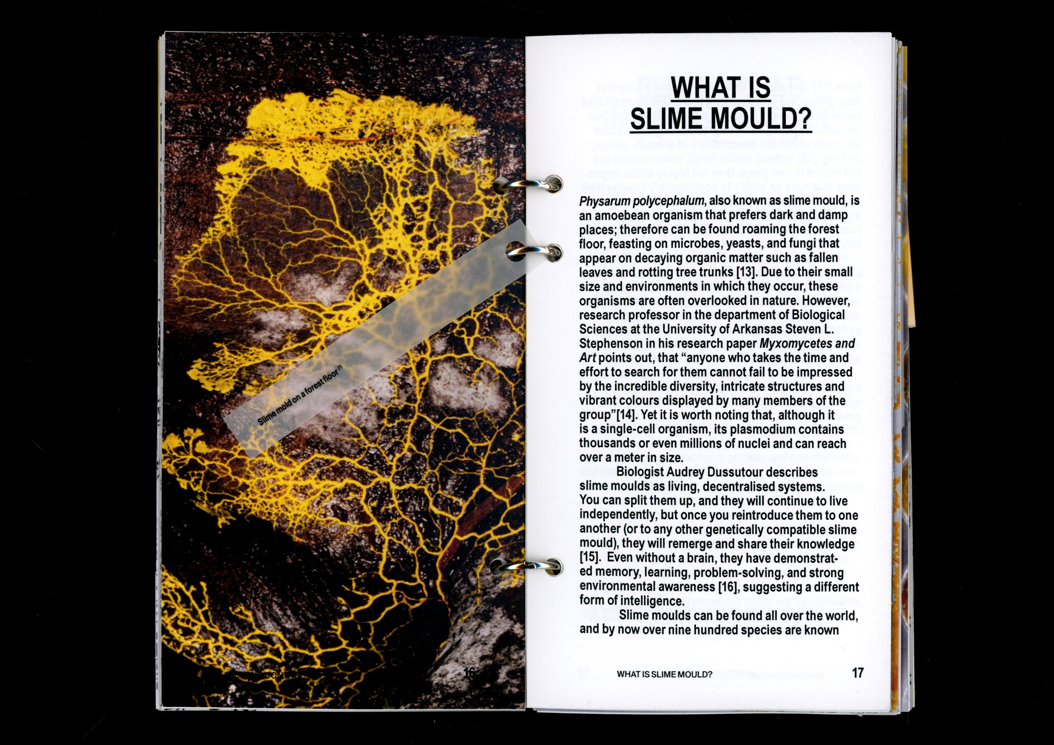 Book spread titled What Is Slime Mould?, with a photo of yellow slime mould
