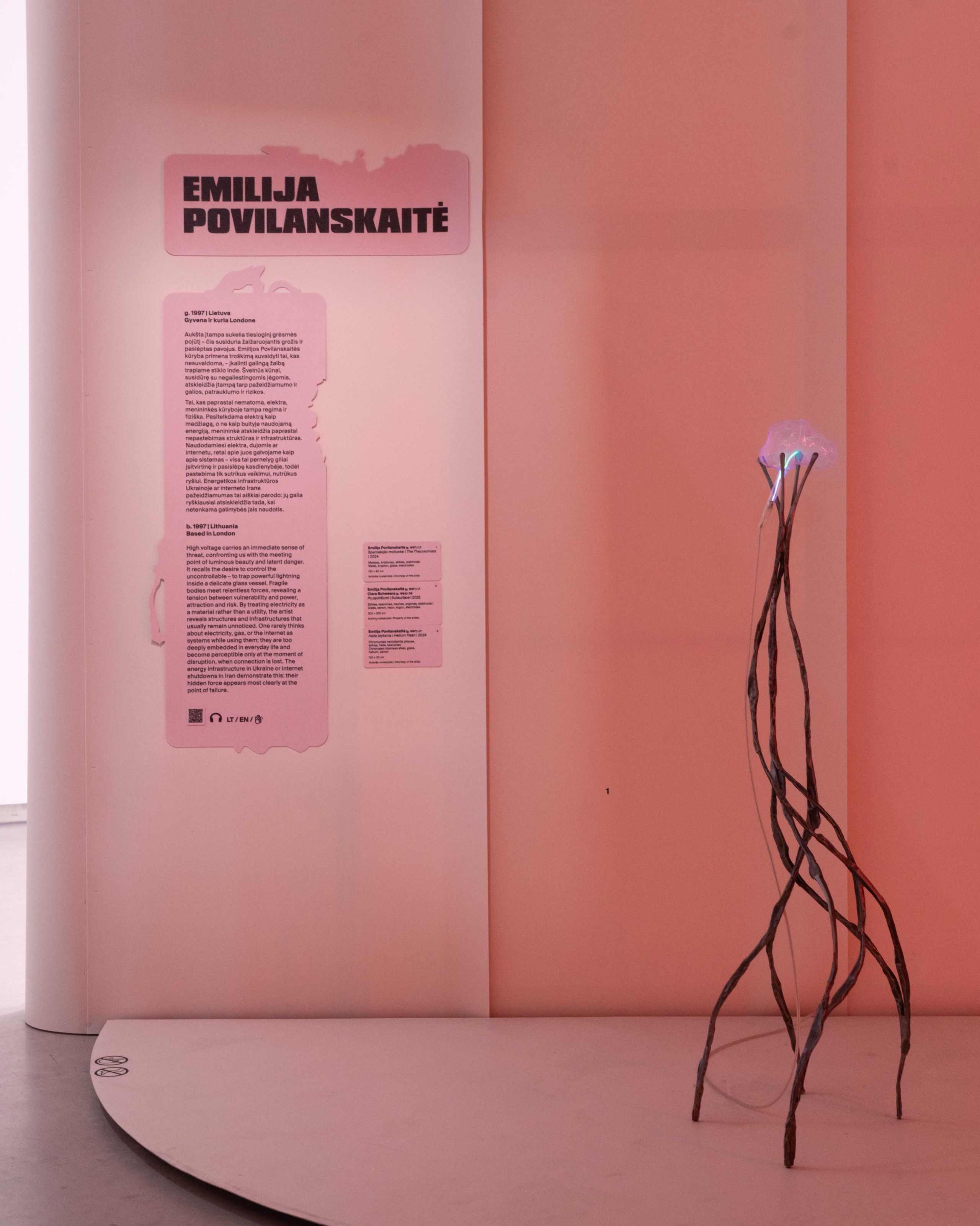 Pink exhibition wall with artist text and a sculpture, Gen Z. All at Once