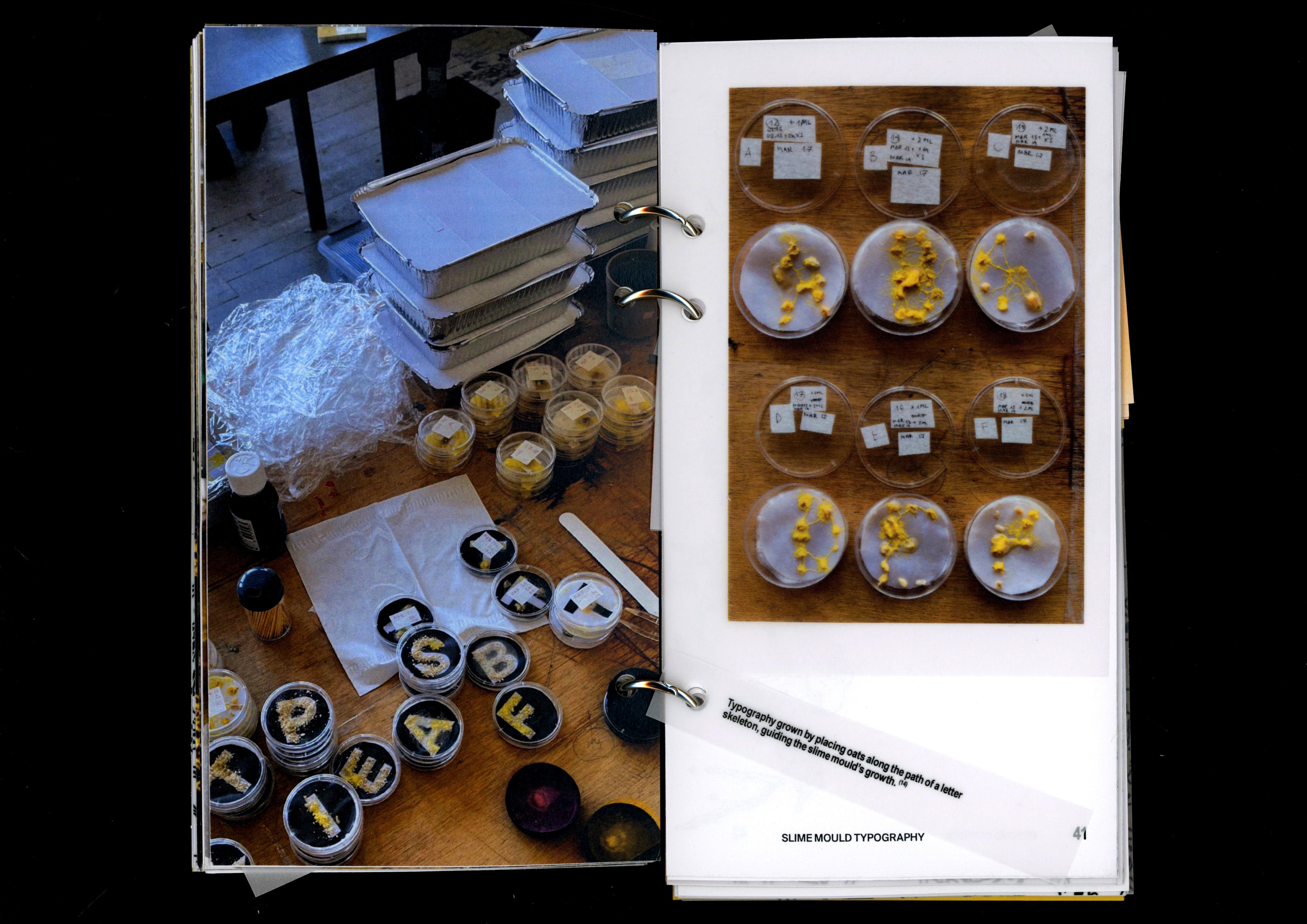 Book spread with photos of the slime-mould lab set-up and Petri dishes