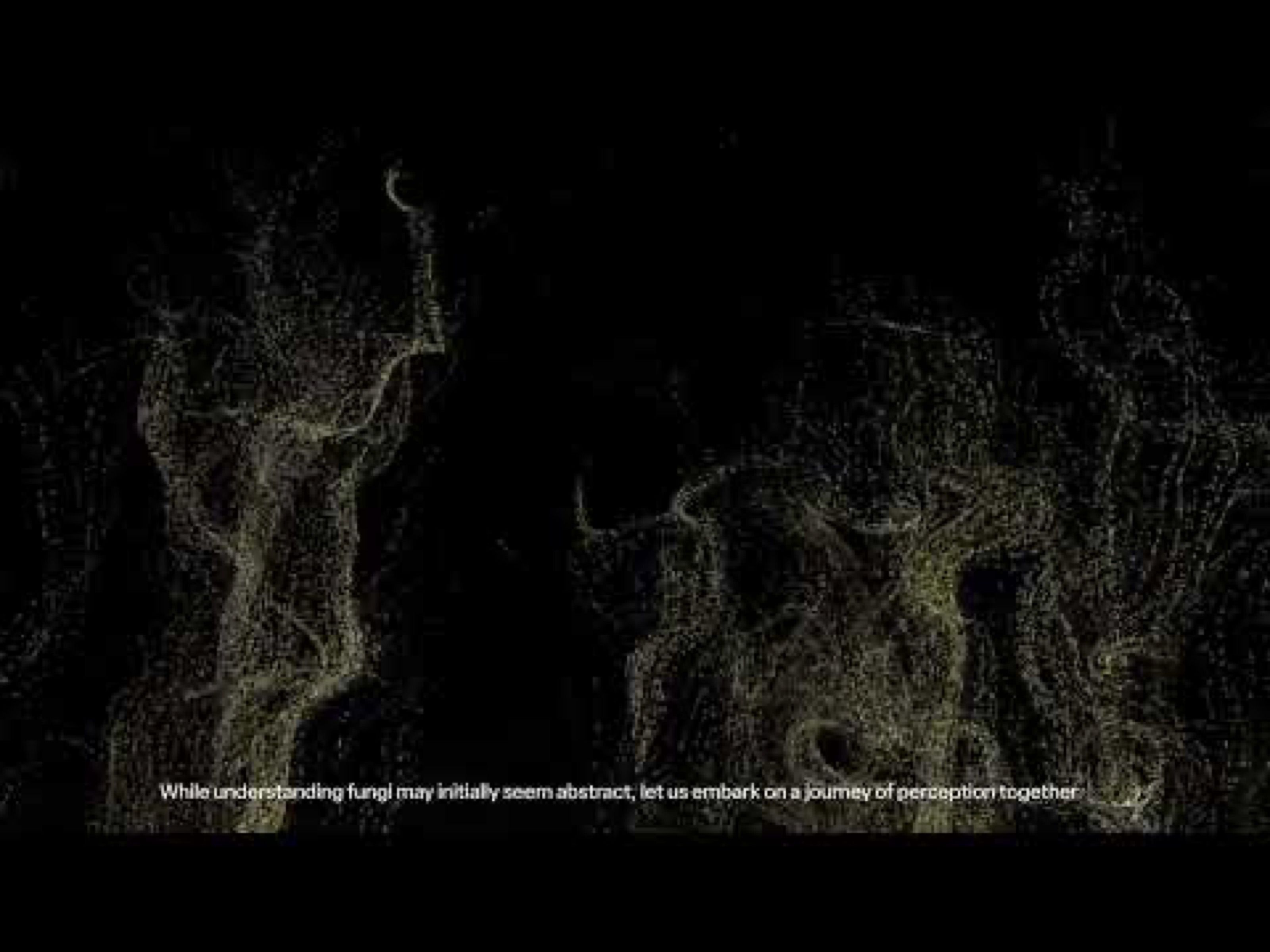 Projected particle visuals of fungal forms with subtitle, Invisible Fungi