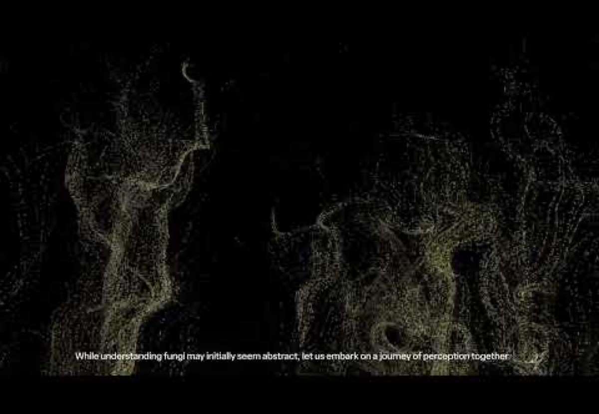 Projected particle visuals of fungal forms with subtitle, Invisible Fungi