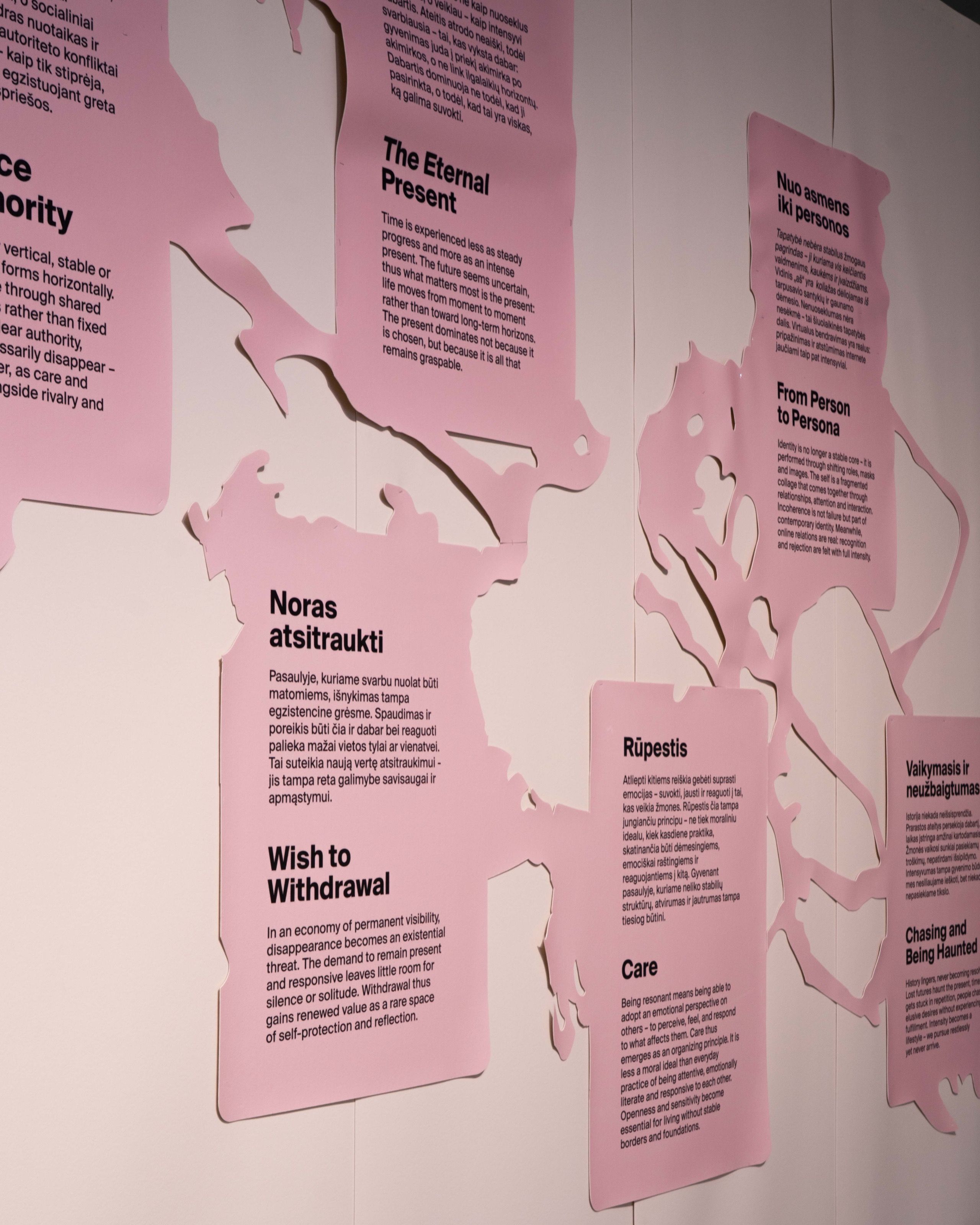 Close-up of pink organic wall text panels in Lithuanian and English
