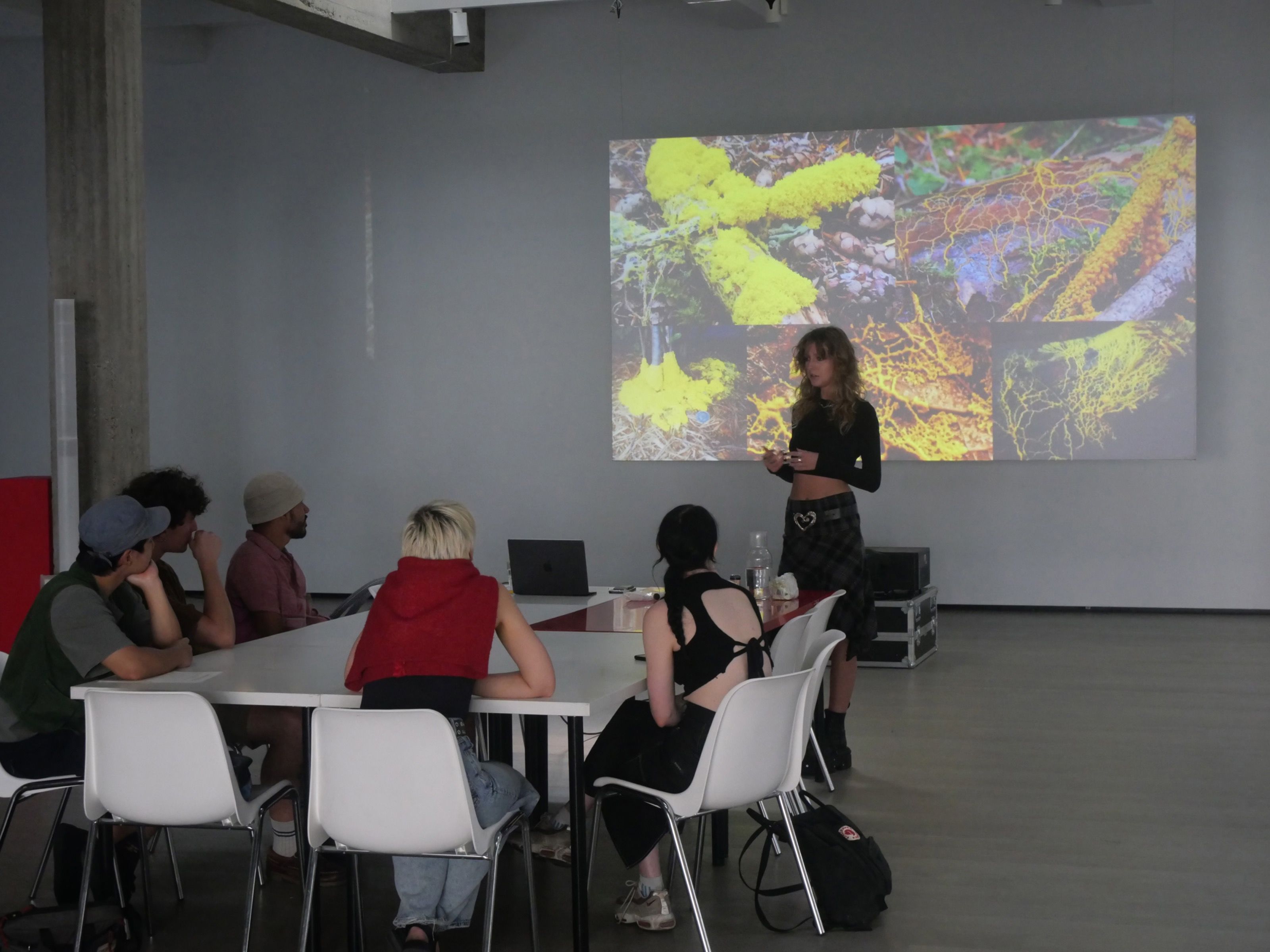Presentation of slime mould imagery projected on a wall to a small group