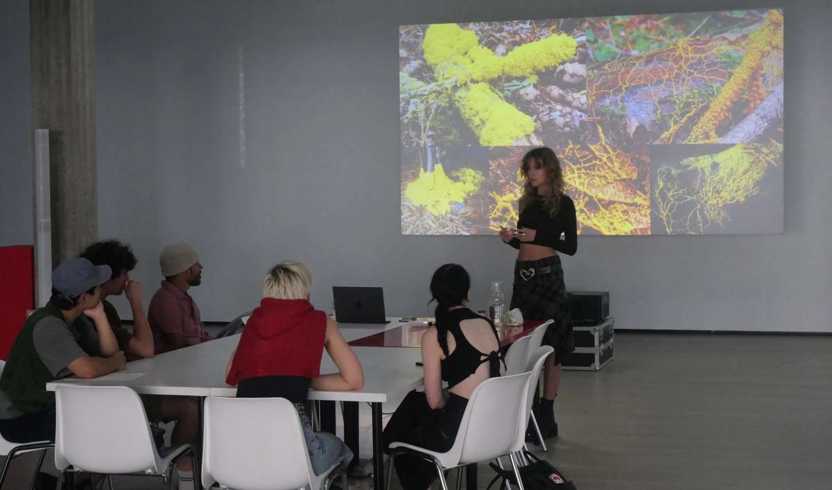 Presentation of slime mould imagery projected on a wall to a small group