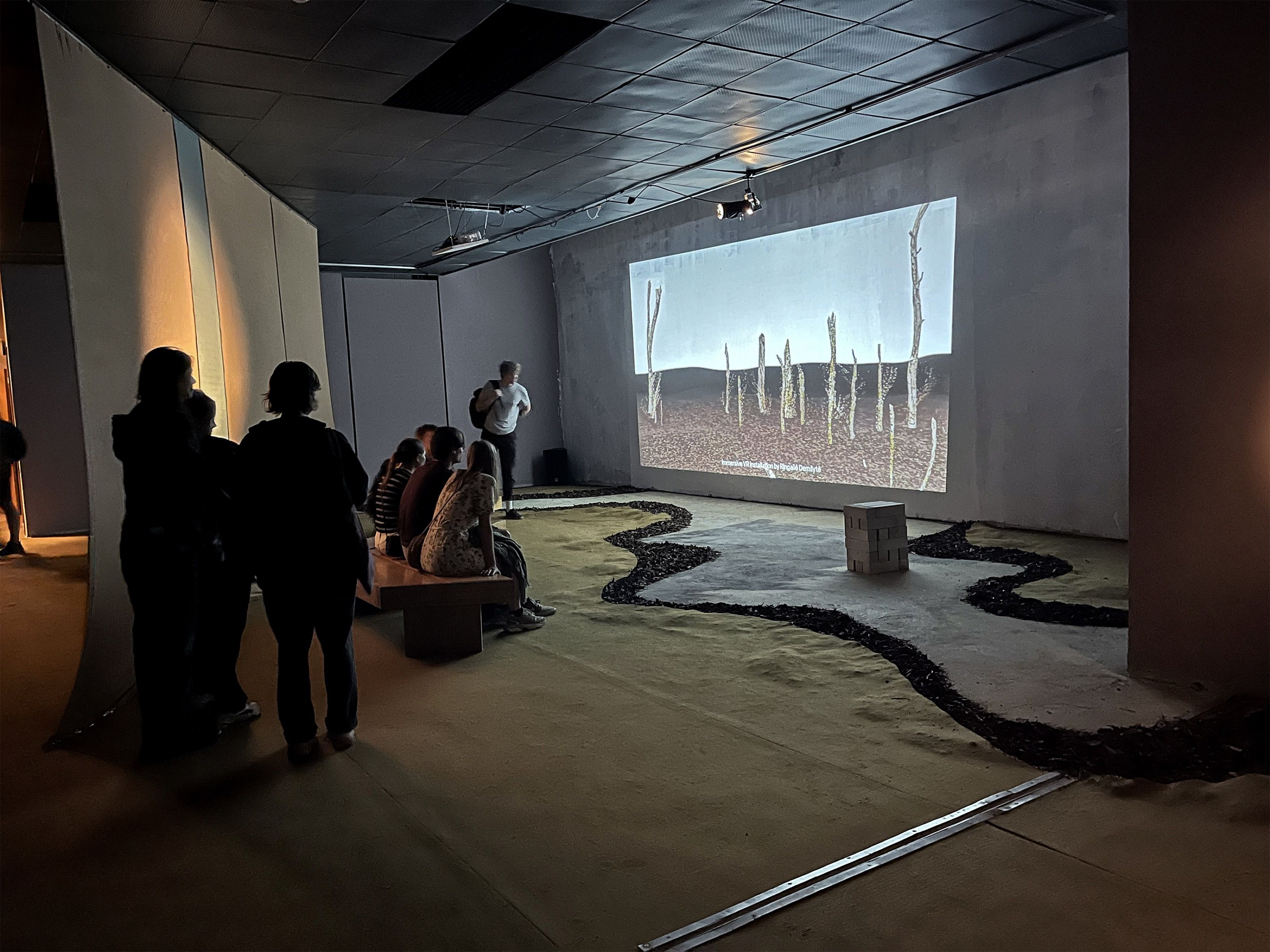 Visitors watching a projection in the Invisible Fungi installation