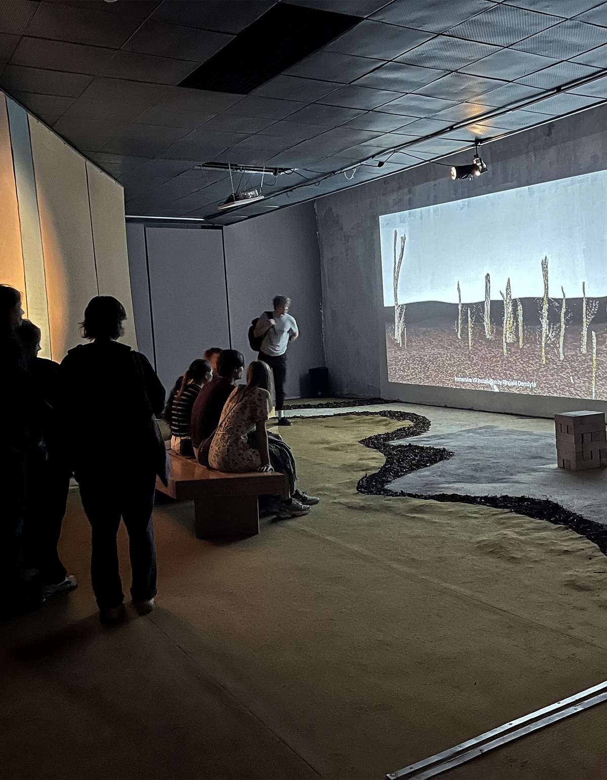 Visitors watching a projection in the Invisible Fungi installation