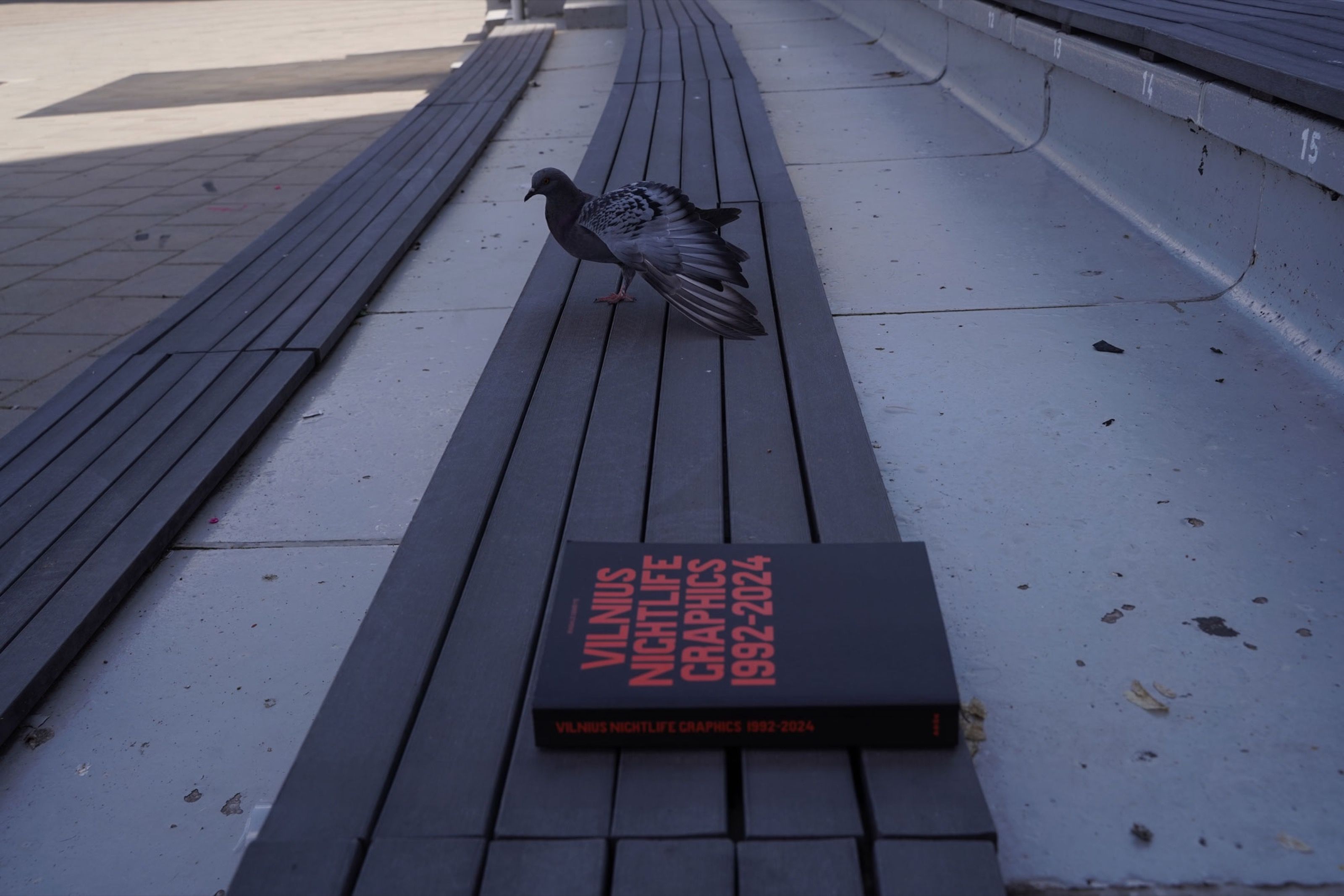 Vilnius Nightlife Graphics book on stone steps beside a pigeon