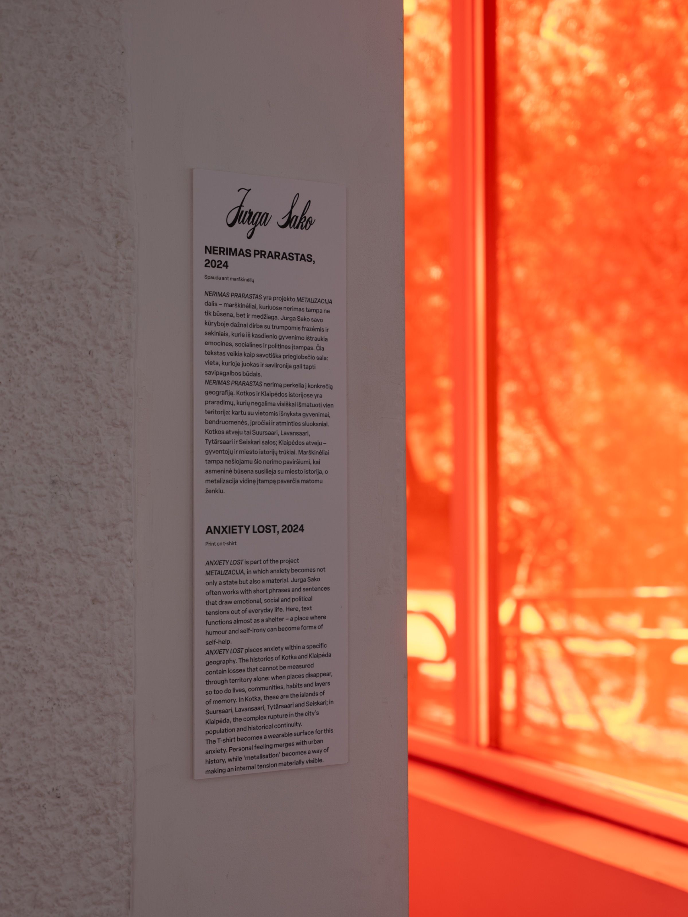 Artwork text panel beside a red-tinted window, Noise Portals