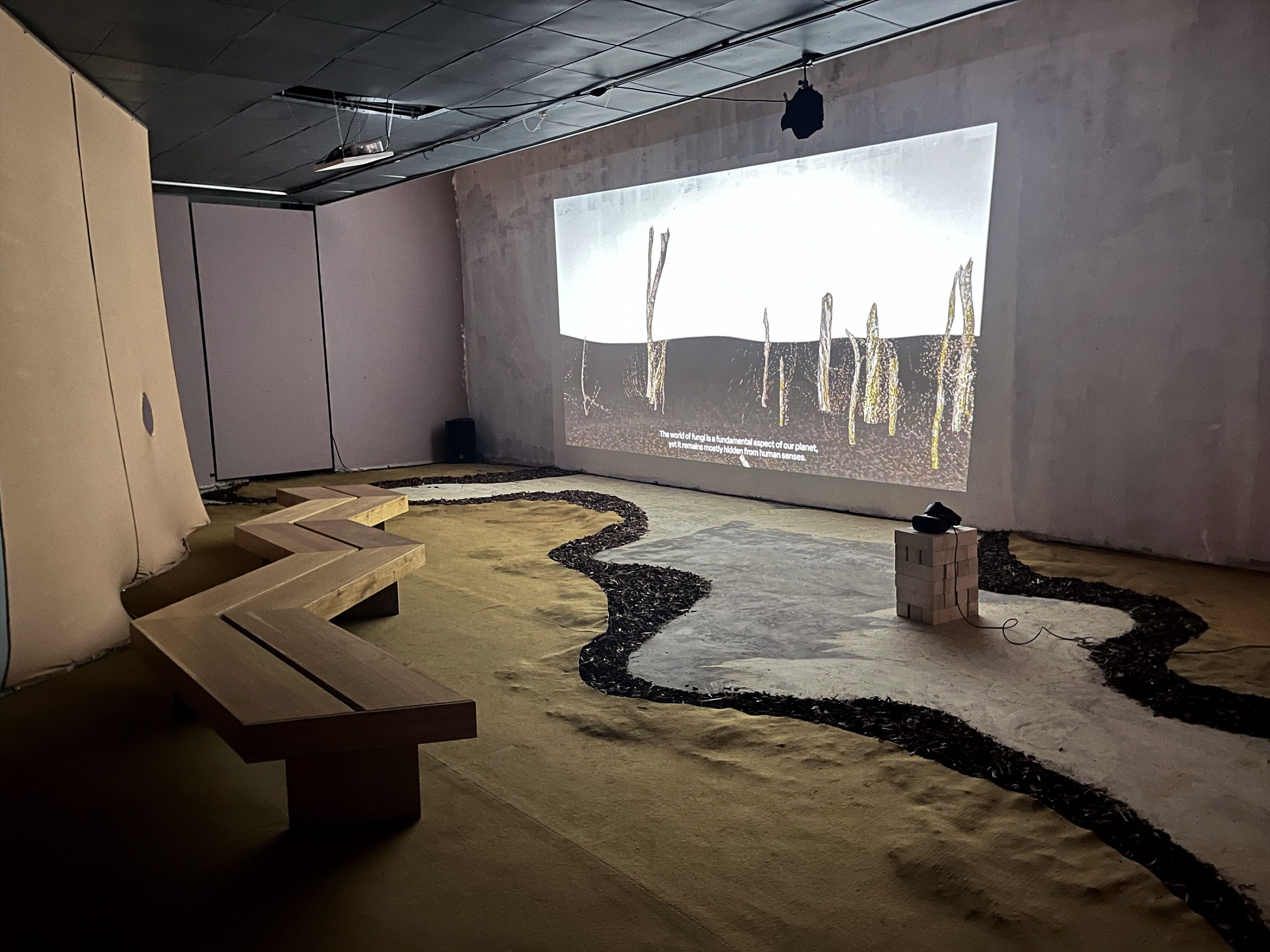 Invisible Fungi installation room with a projected landscape and winding path