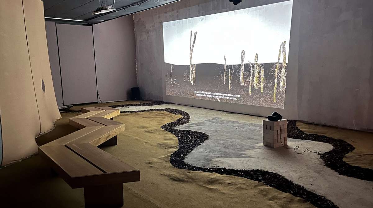 Invisible Fungi installation room with a projected landscape and winding path