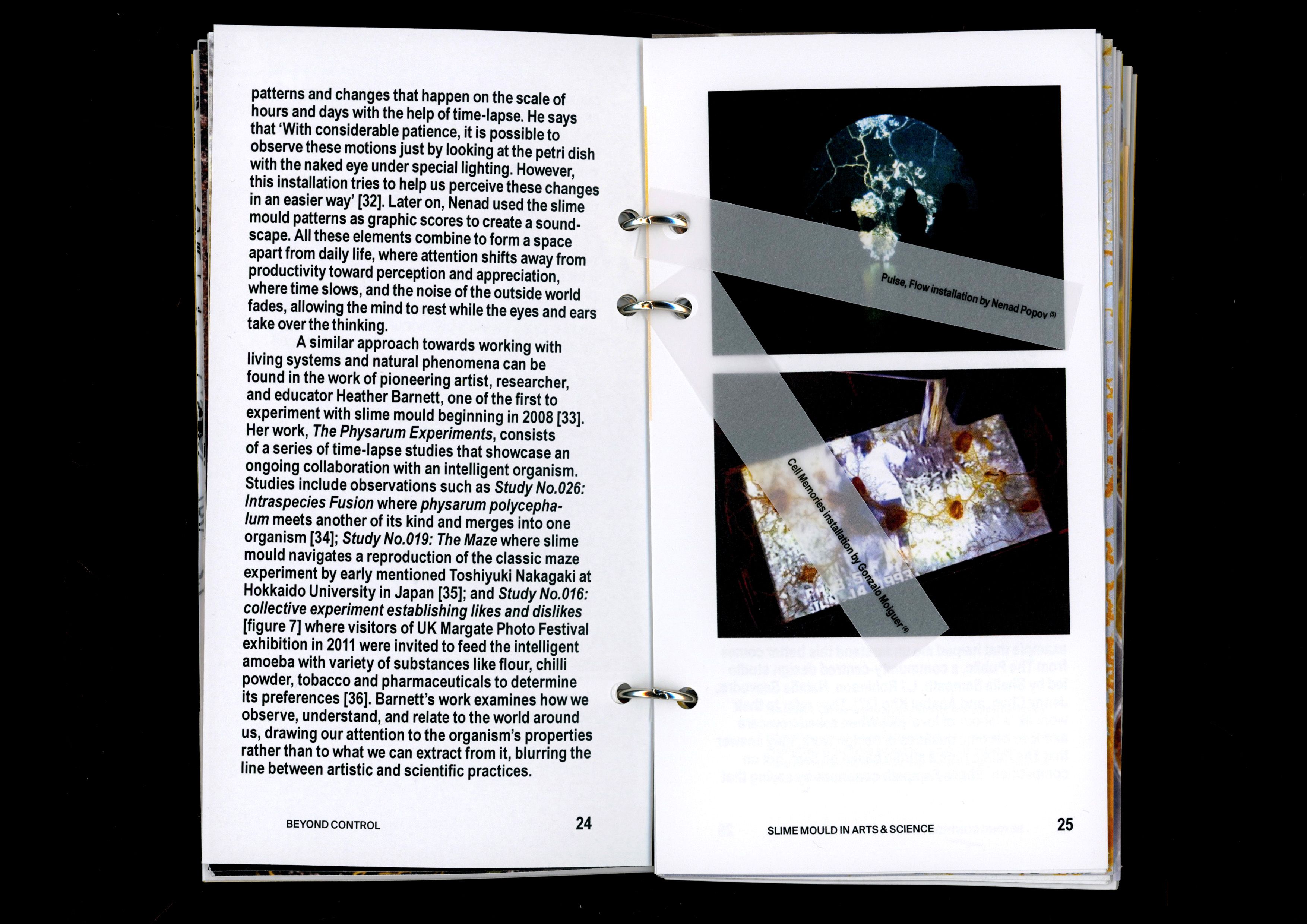 Book spread with text and photos of slime-mould experiments
