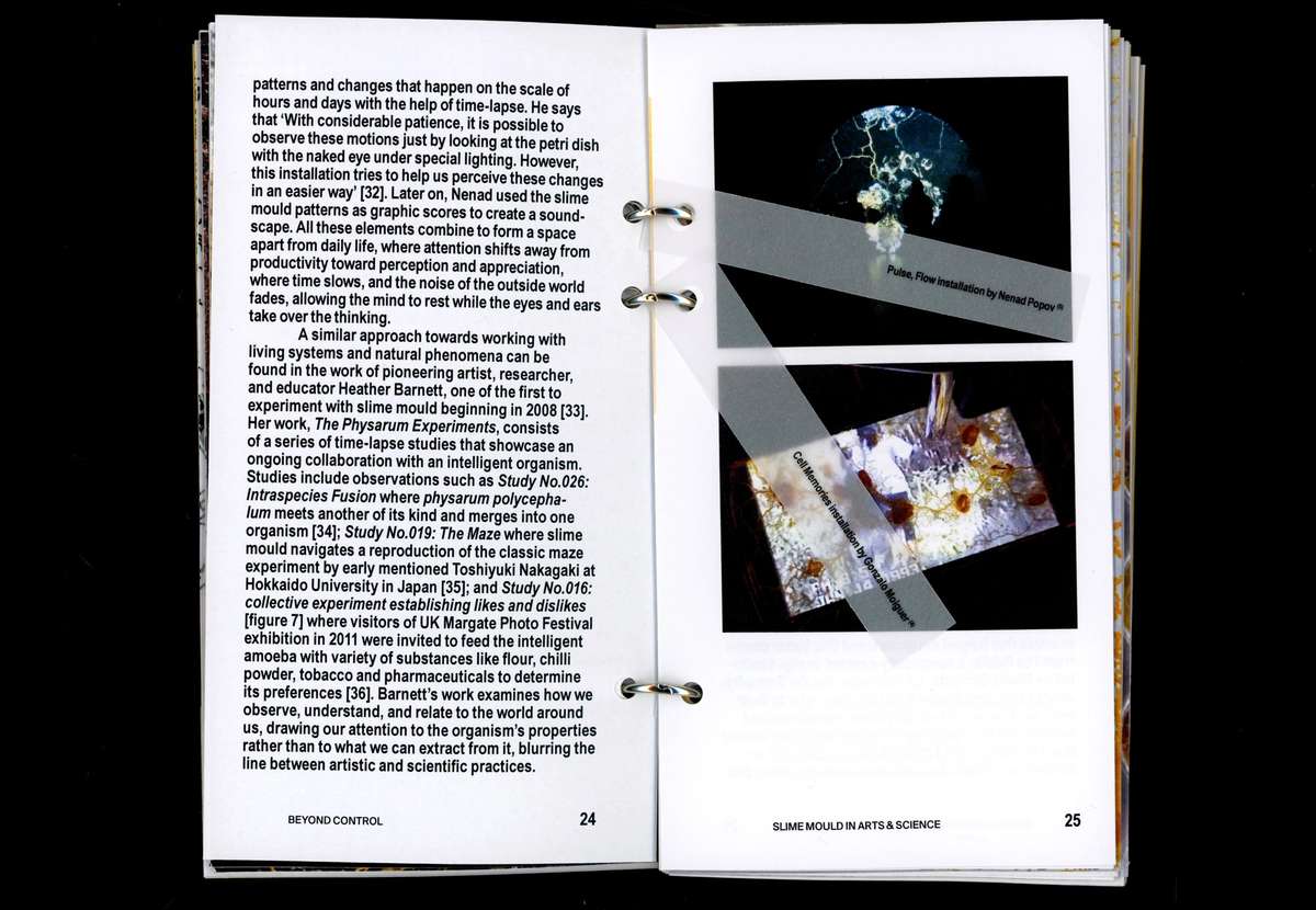 Book spread with text and photos of slime-mould experiments