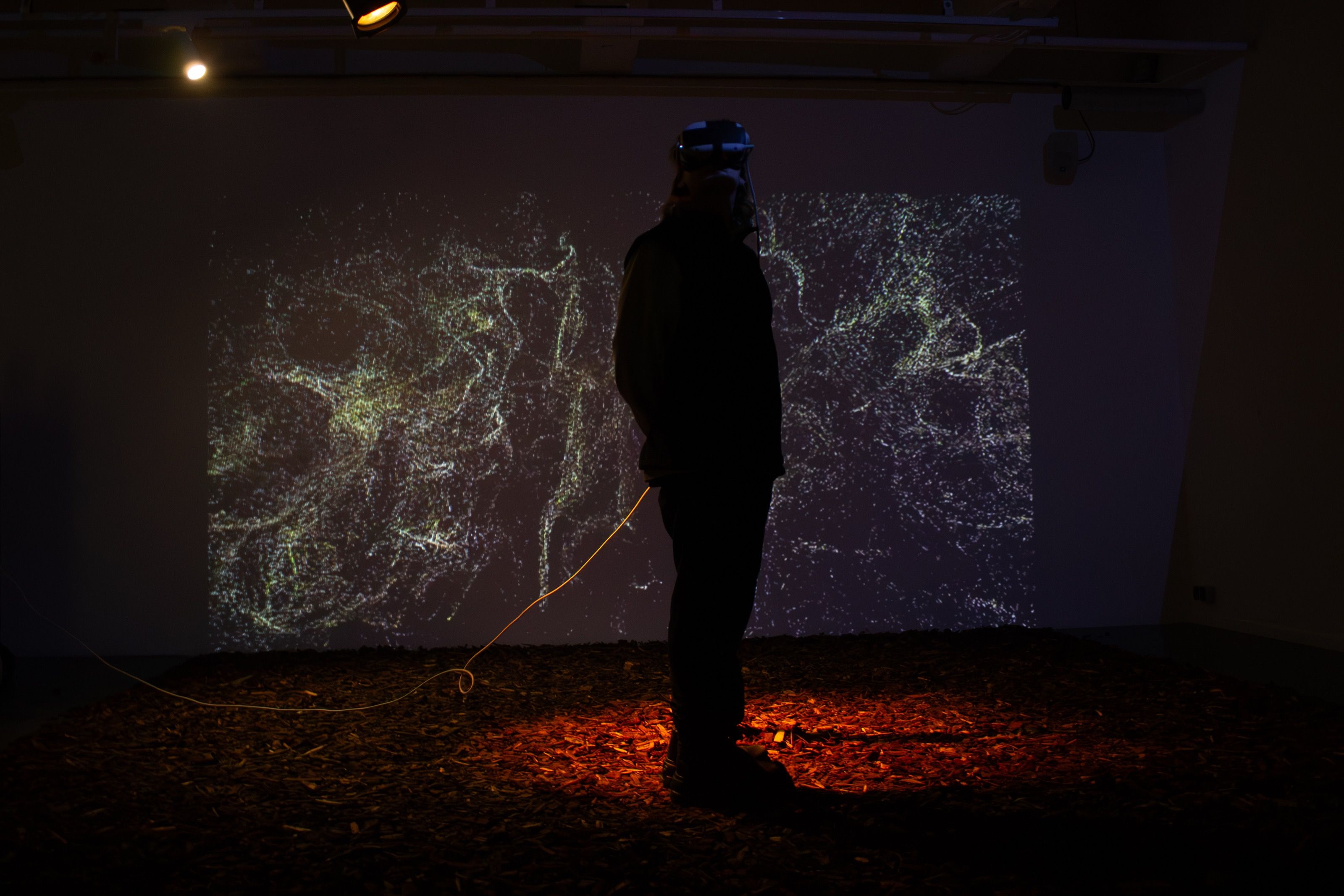 Silhouette of a visitor in front of a projected fungal network, Invisible Fungi