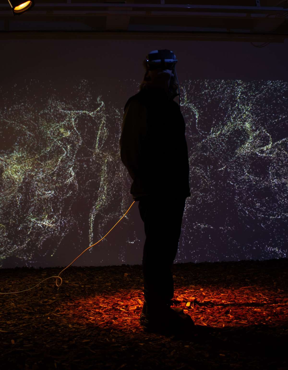 Silhouette of a visitor in front of a projected fungal network, Invisible Fungi