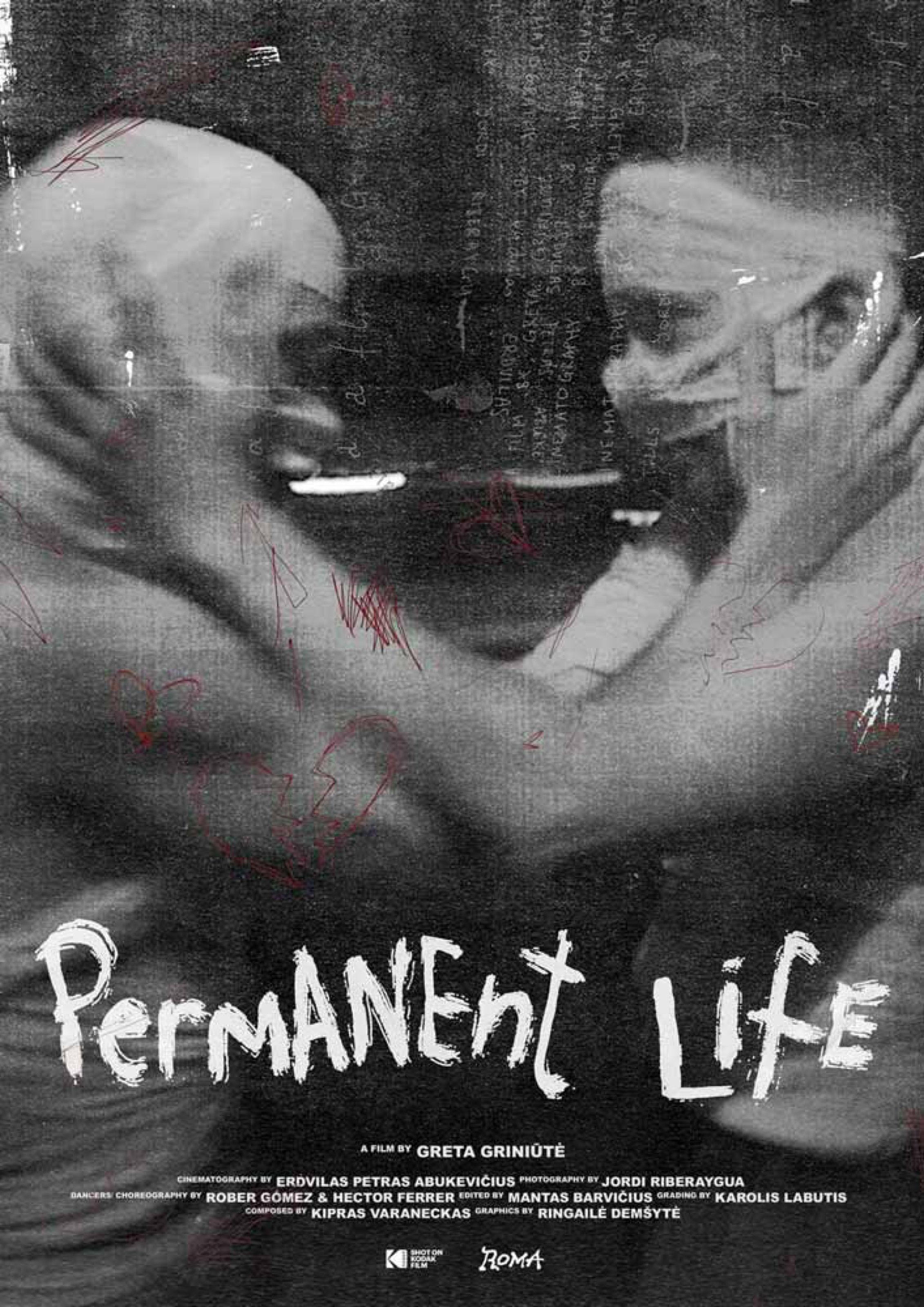 Permanent Life film poster with two figures in black and white