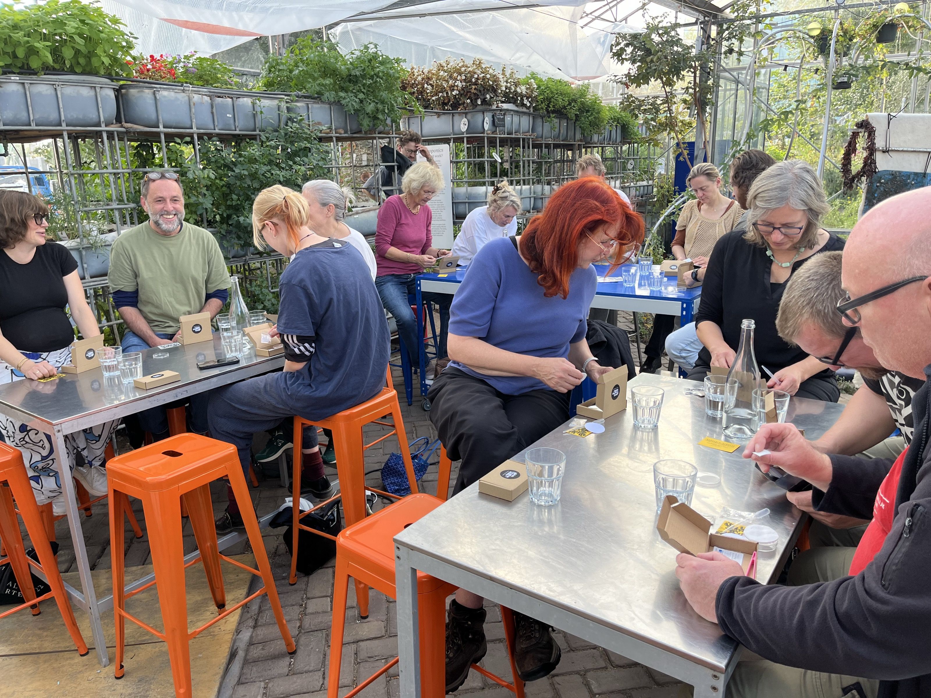 Participants working with slime mould kits at tables in a greenhouse