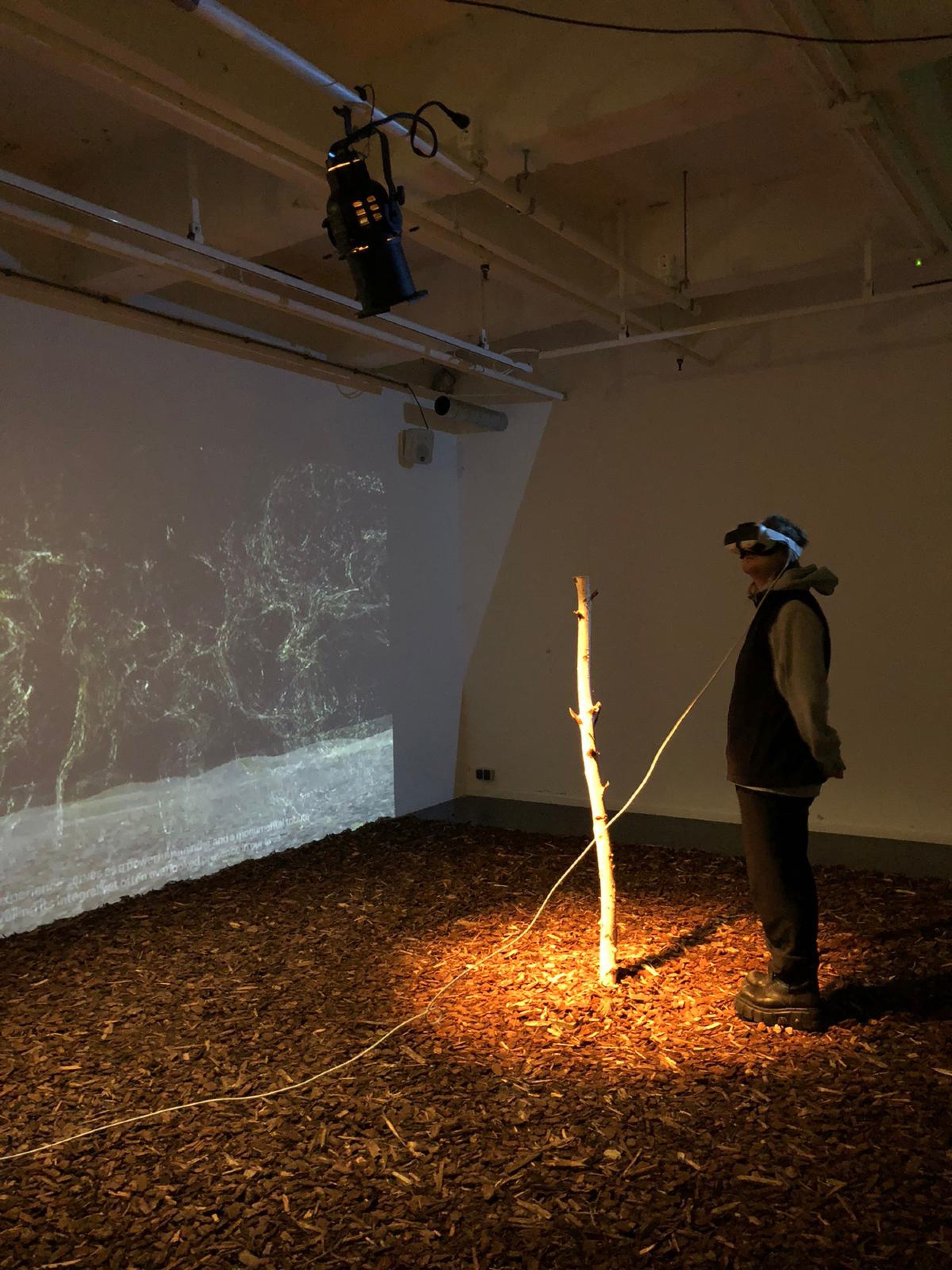 Visitor in a VR headset beside a lit branch, Invisible Fungi installation