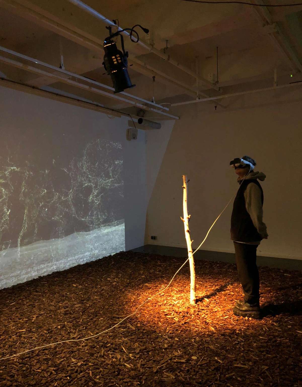 Visitor in a VR headset beside a lit branch, Invisible Fungi installation