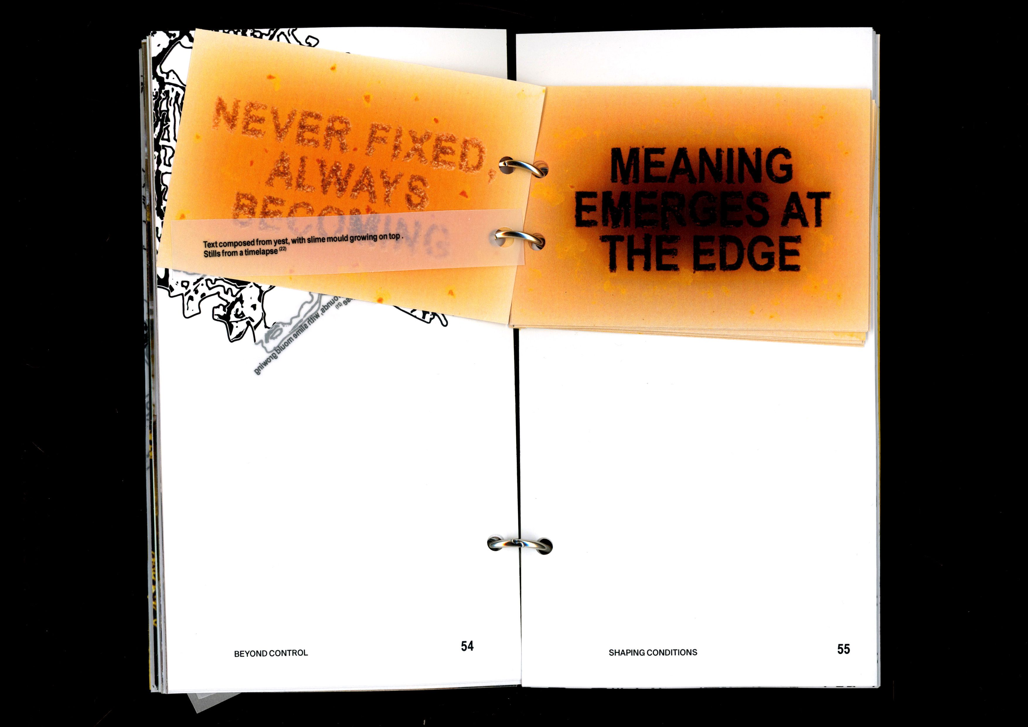 Book spread with translucent pages showing the living posters