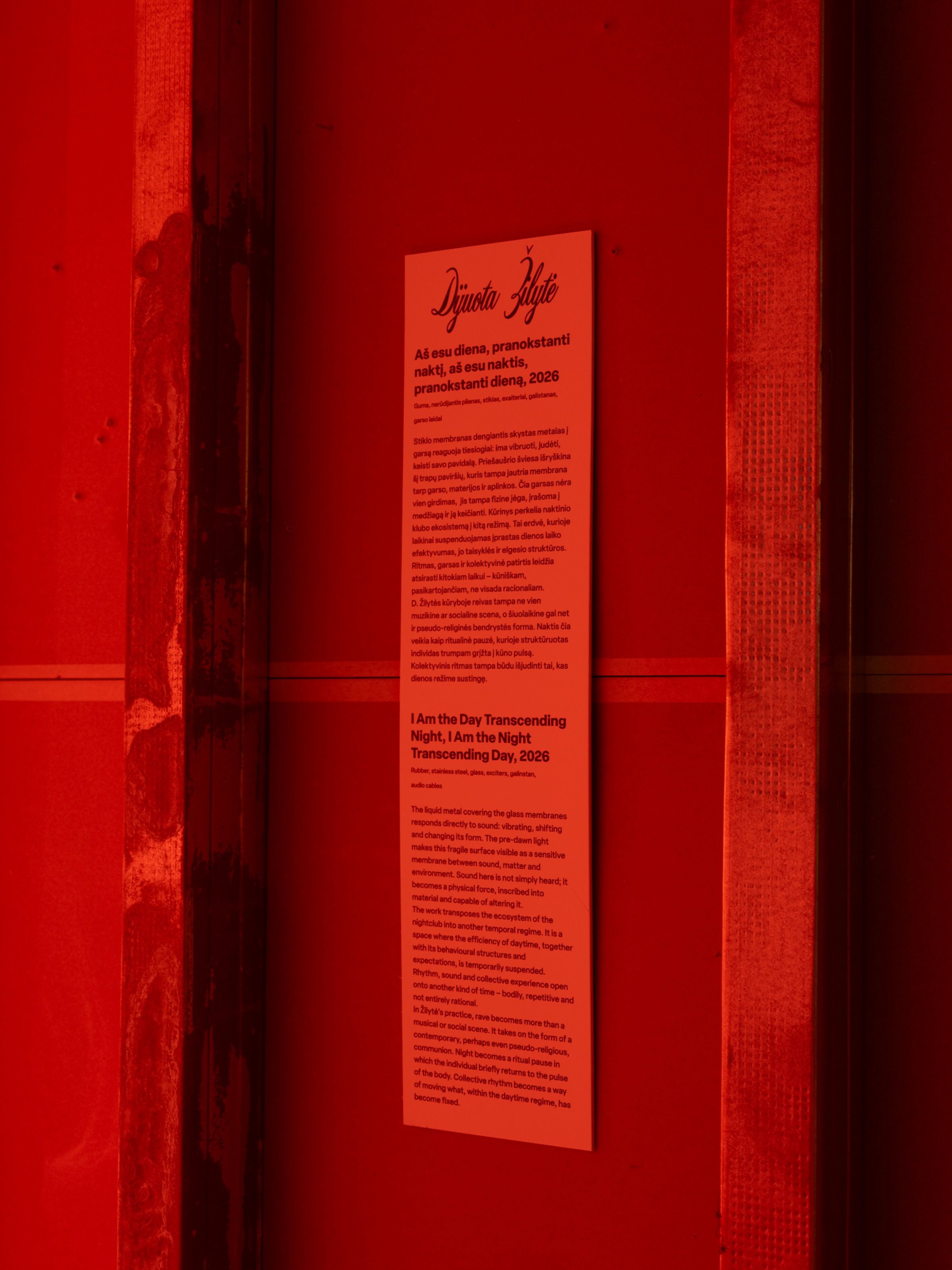 Artwork label on a wall bathed in red light, Noise Portals