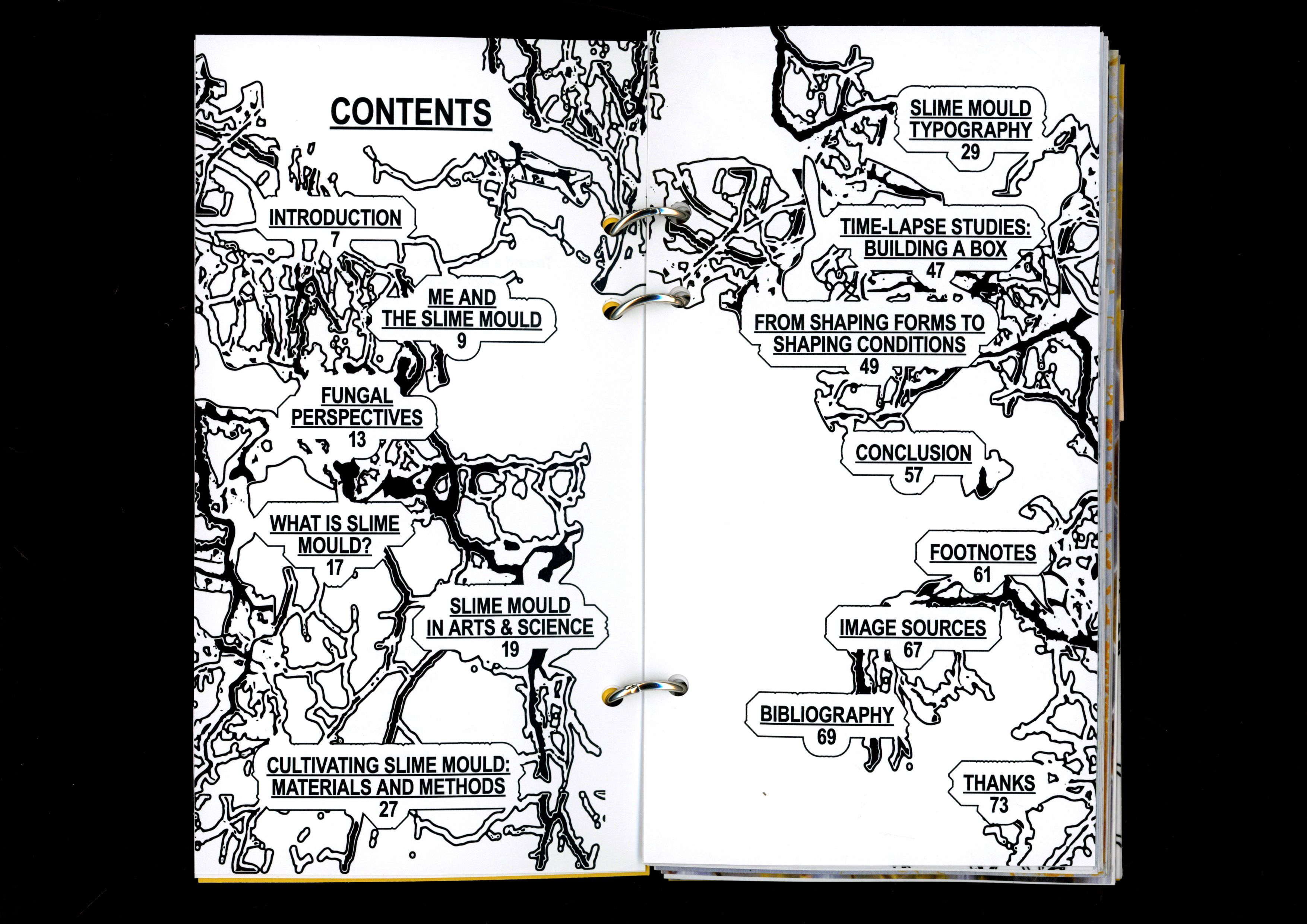 Beyond Control book spread: the contents page with slime-mould network drawings
