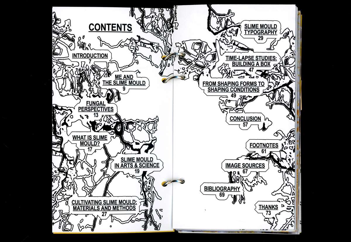 Beyond Control book spread: the contents page with slime-mould network drawings