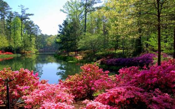 Top 5 Reasons to Fall in Love with Flowery Branch, GA | Discover Lakefront Living & More