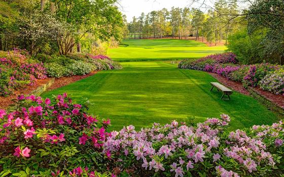 The Masters Golf Transportation— Travel in Ultimate Comfort