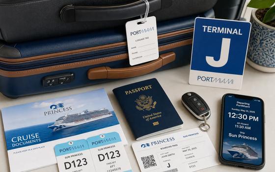How to Plan Limo Service to the Port of Miami
