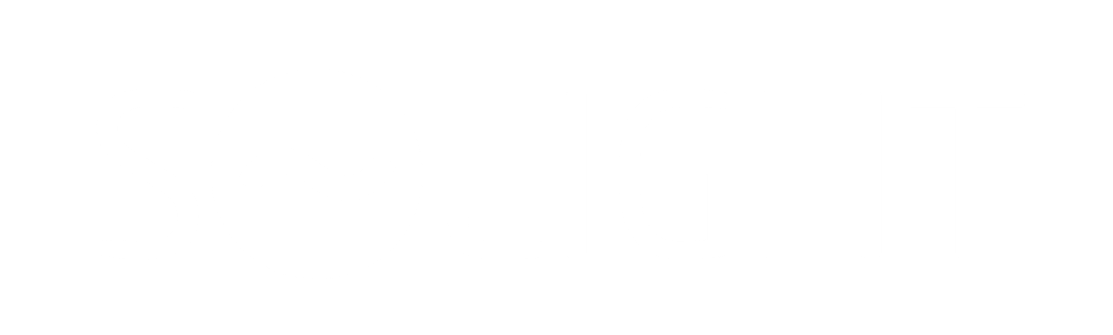 Solight