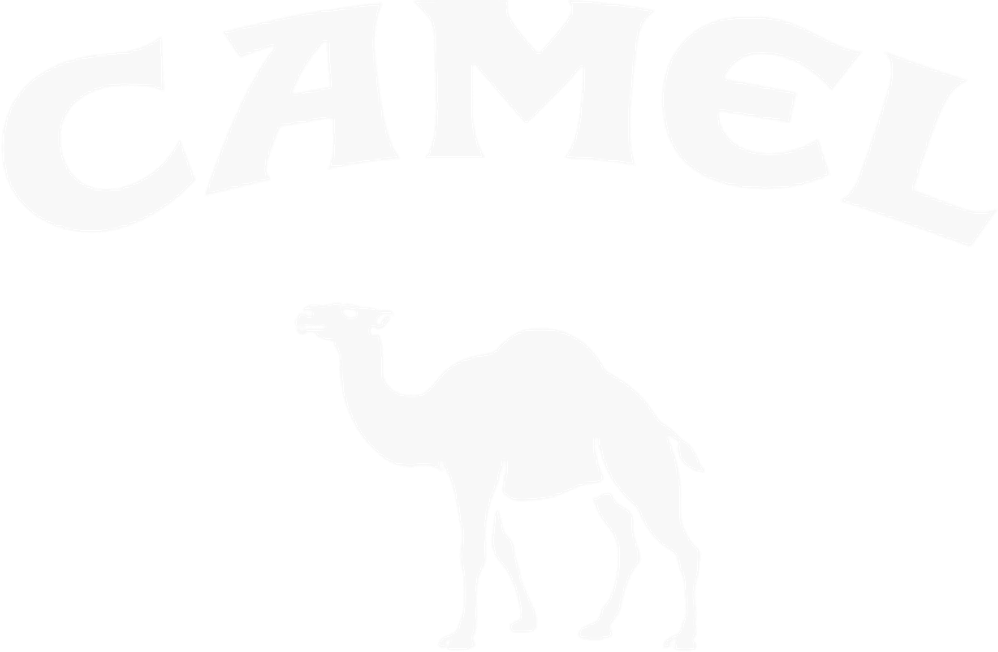 Camel
