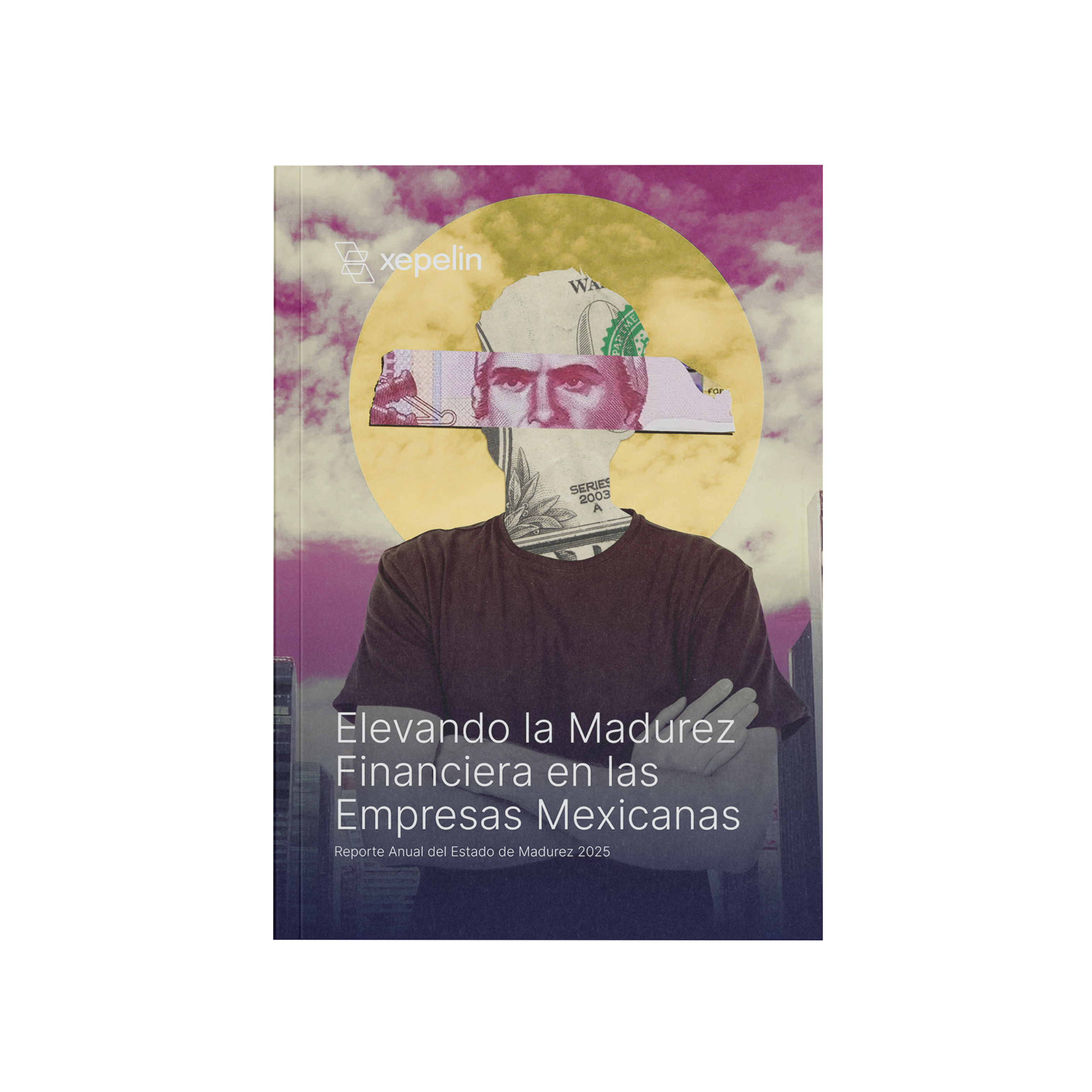 Elevando la Madurez Financiera en las Pymes Mexicanas