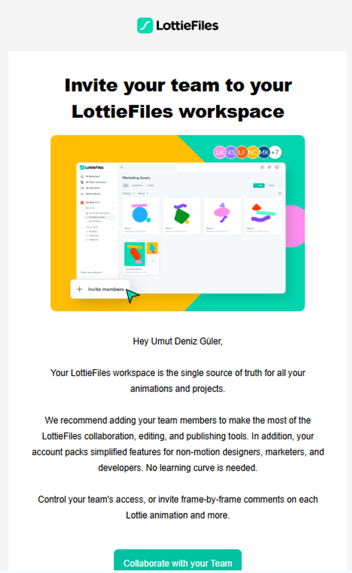 LottieFiles invite a teammember email.