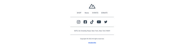 The comprehensive footer area containing the brand logo, navigation links, social media icons, physical address, copyright notice, and the unsubscribe link.