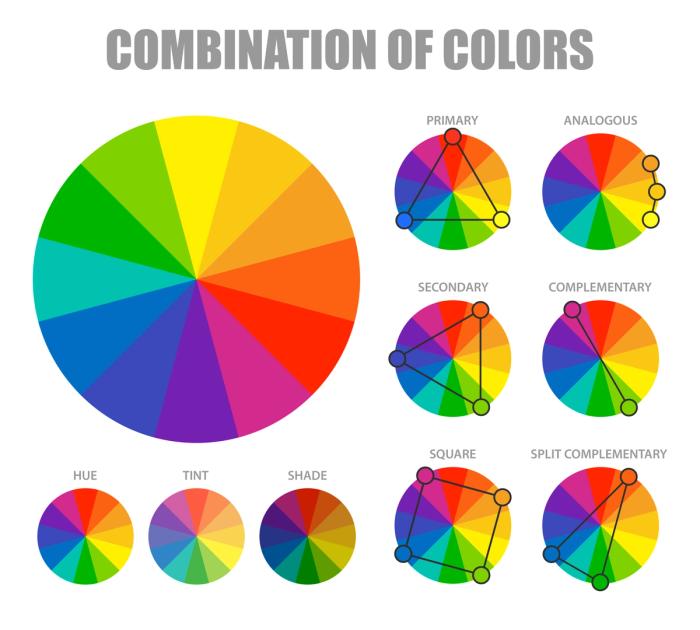 Combination of colors on a palette.